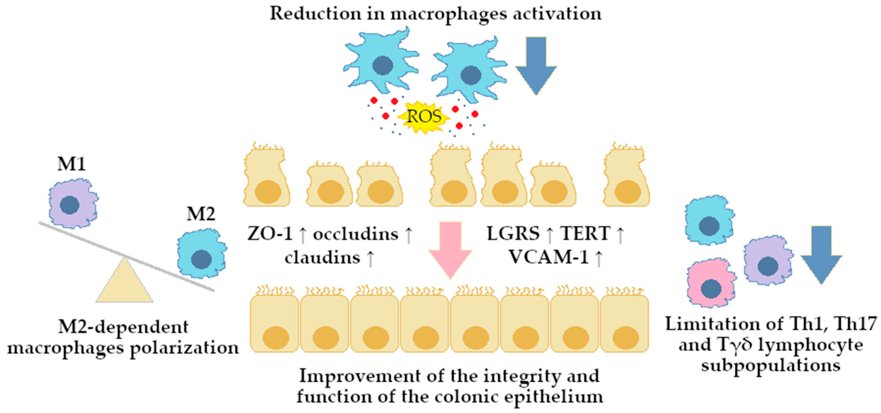 Ijms 26 12021 g002 Ijms 26 12021 g002