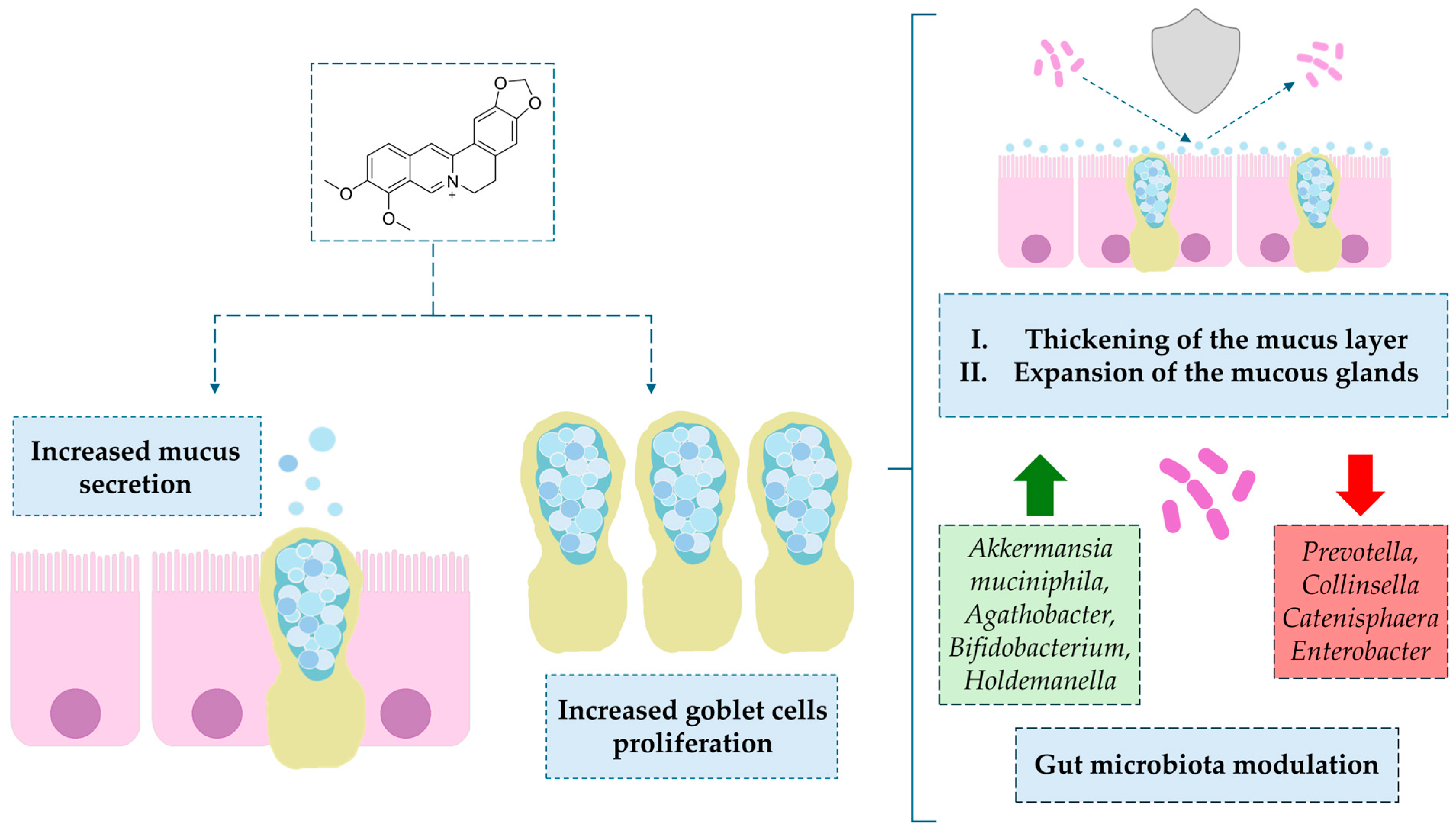 Ijms 26 12021 g004 Ijms 26 12021 g004