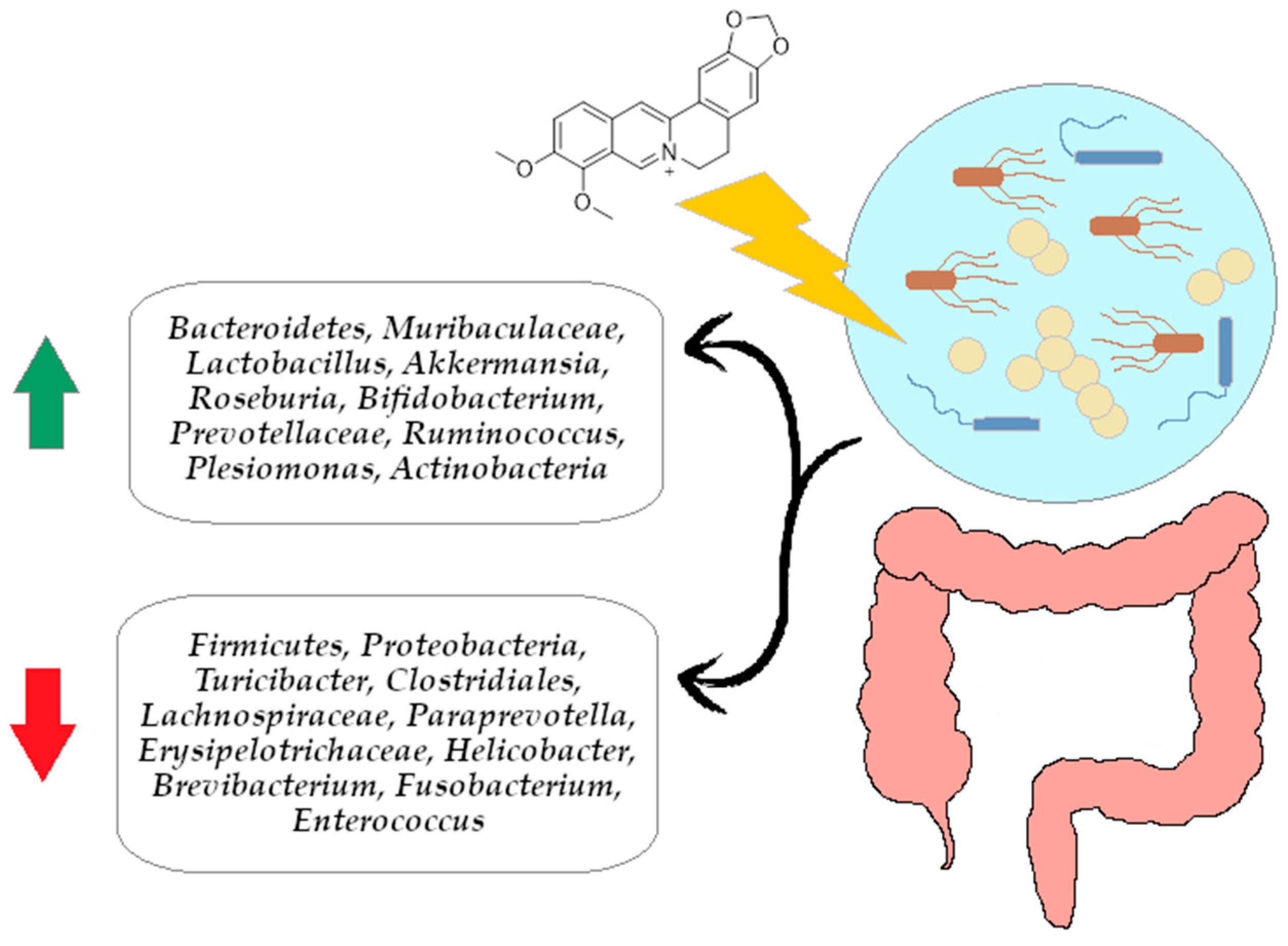 Ijms 26 12021 g005 Ijms 26 12021 g005