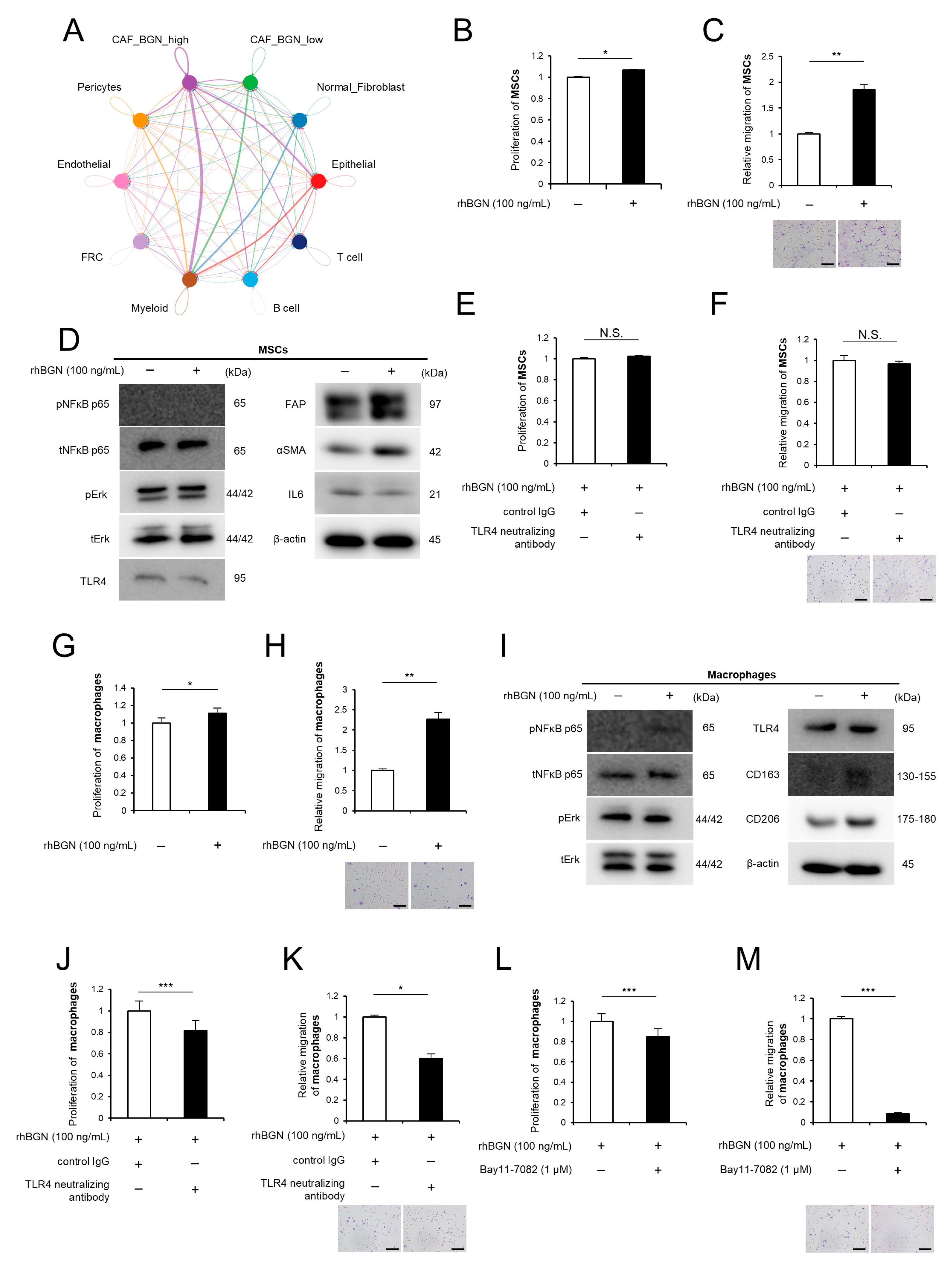 Ijms 26 12024 g005 Ijms 26 12024 g005
