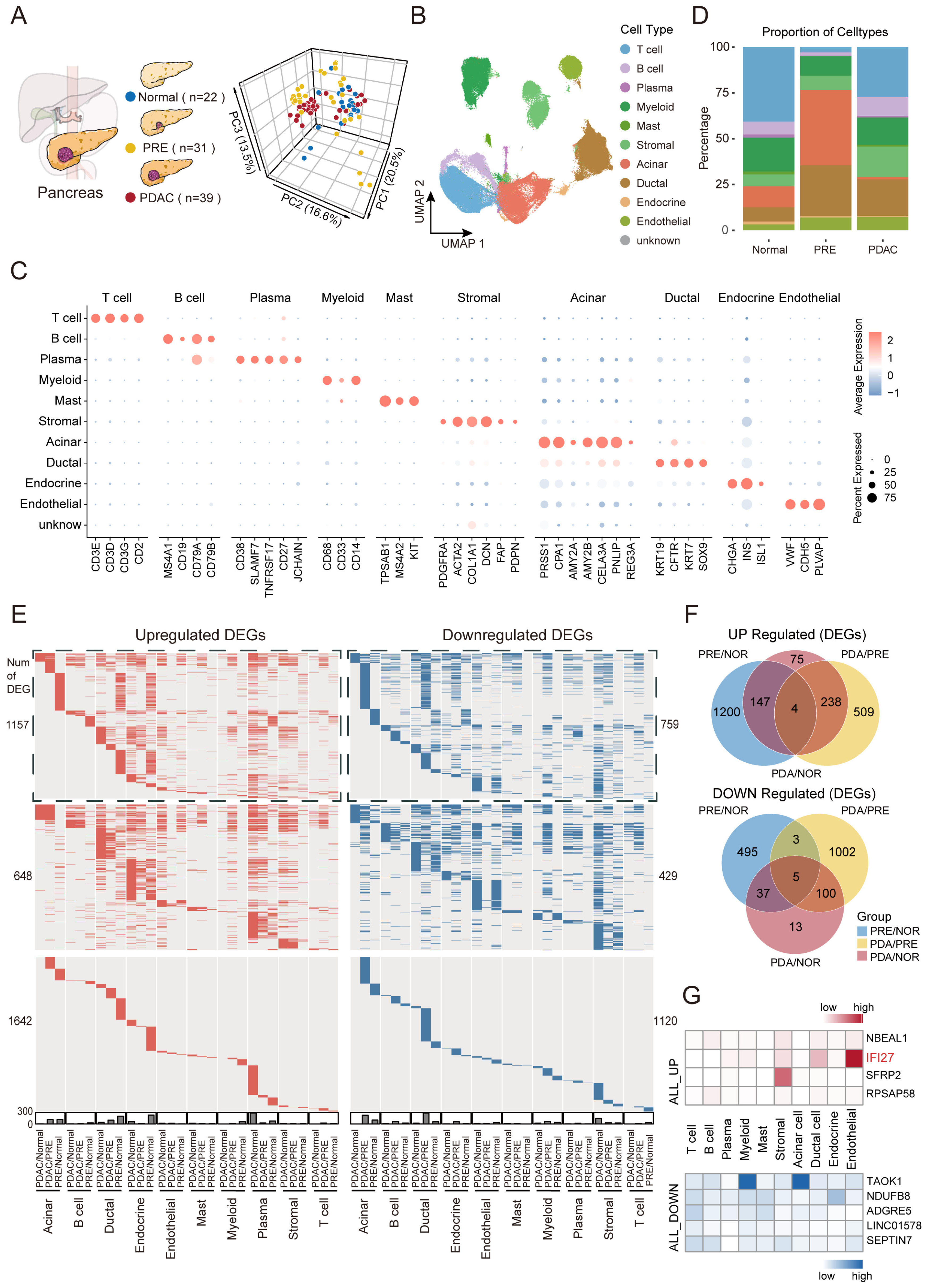 Ijms 26 12031 g001 Ijms 26 12031 g001