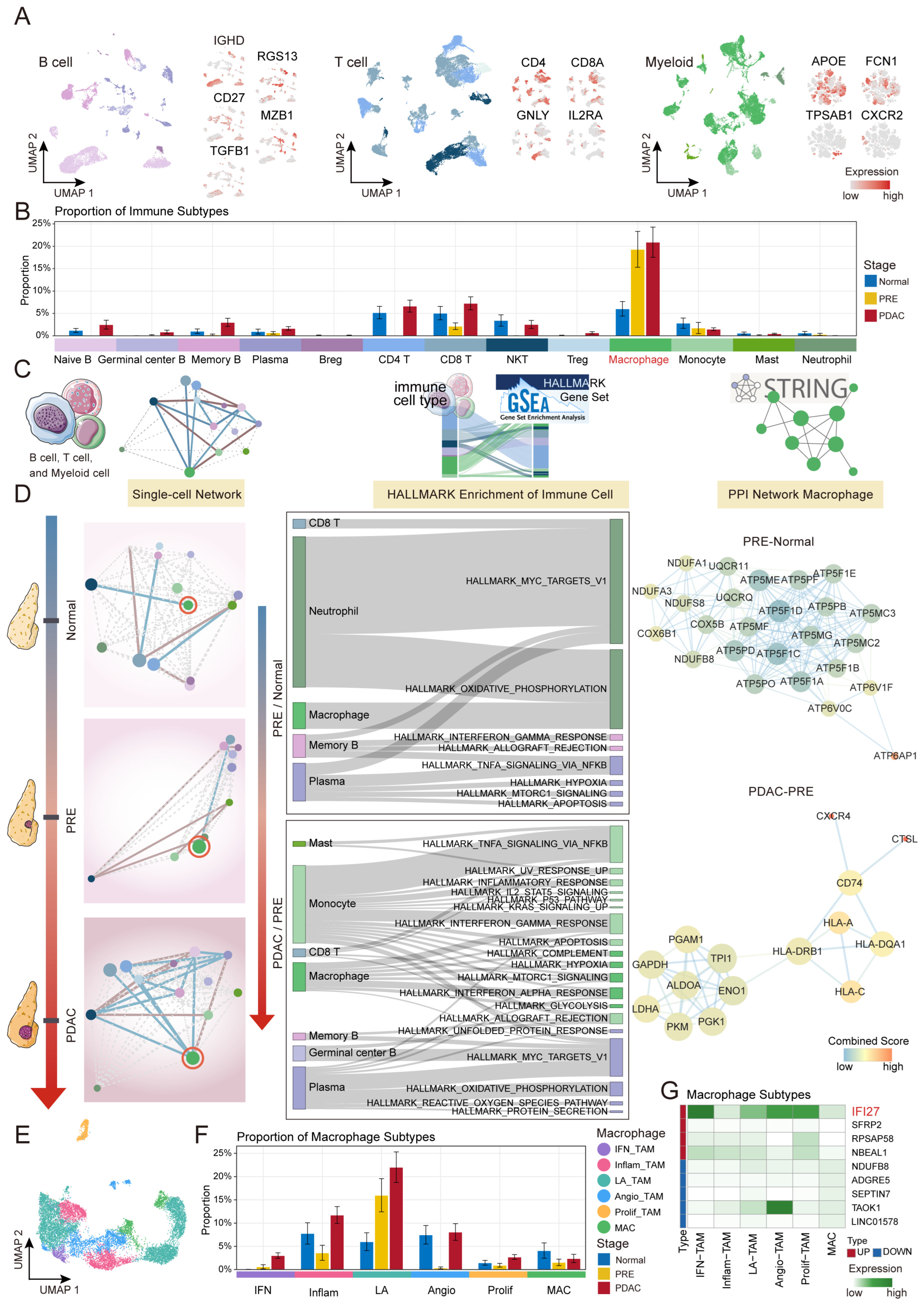 Ijms 26 12031 g003 Ijms 26 12031 g003