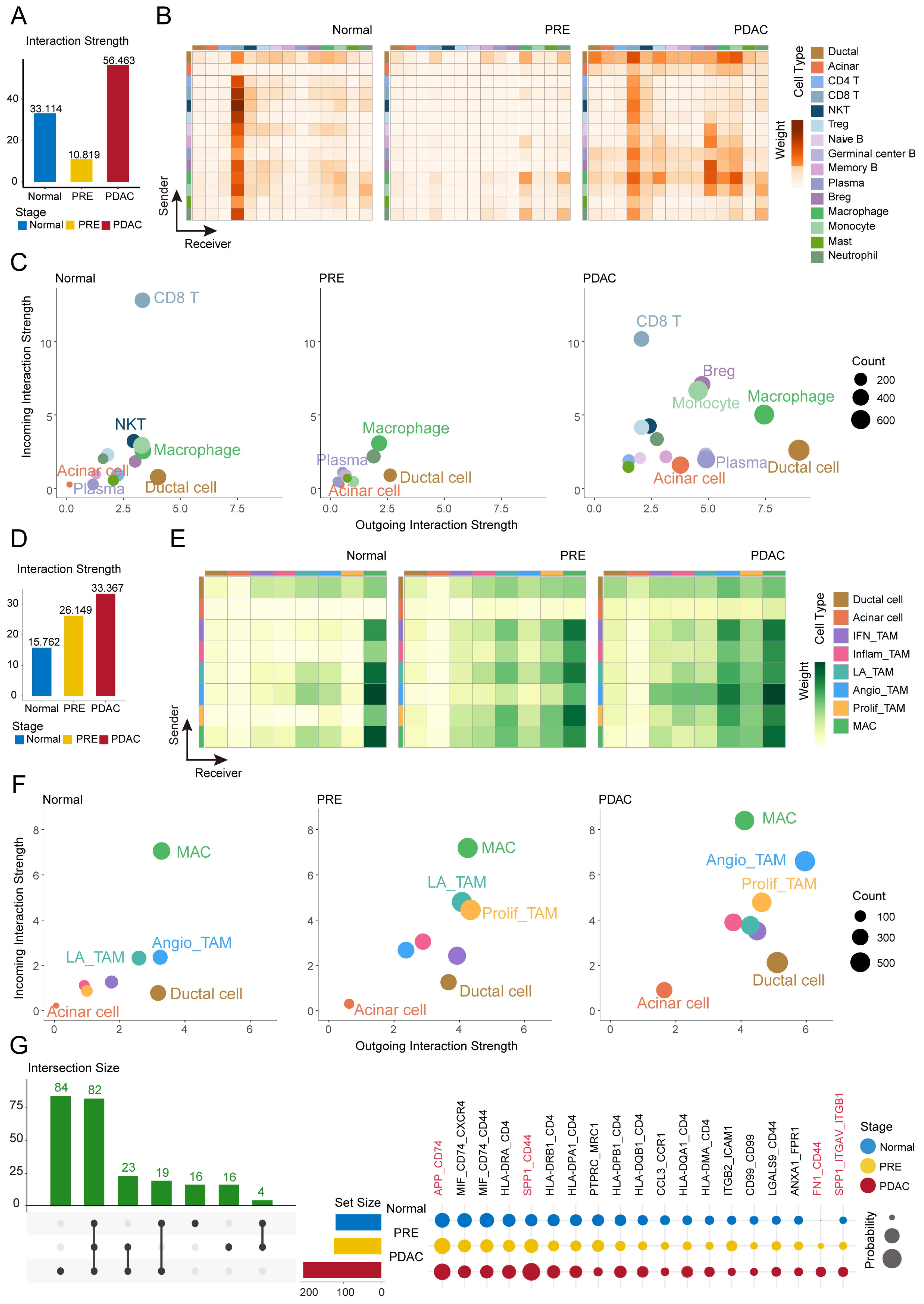 Ijms 26 12031 g004 Ijms 26 12031 g004