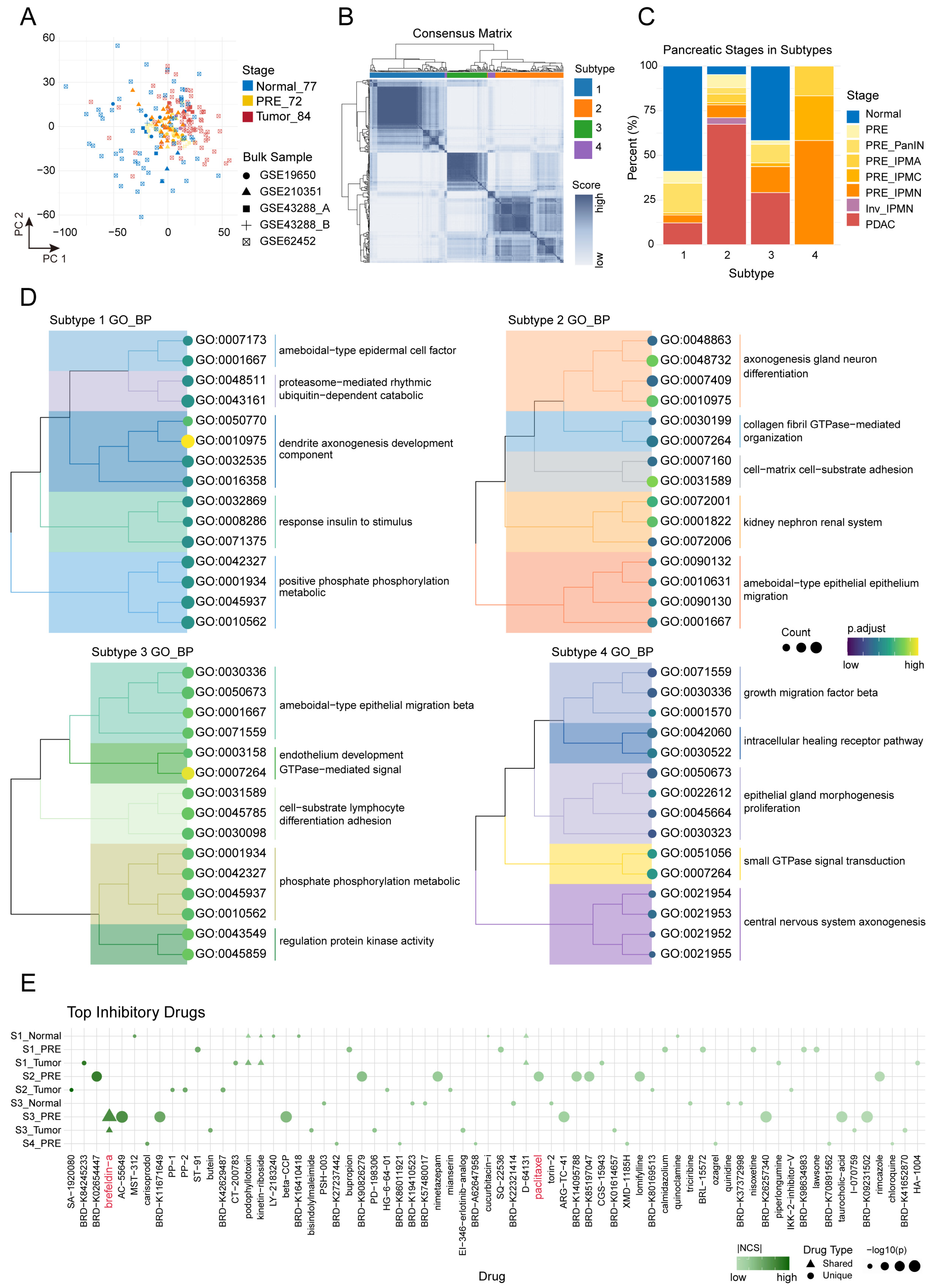 Ijms 26 12031 g005 Ijms 26 12031 g005