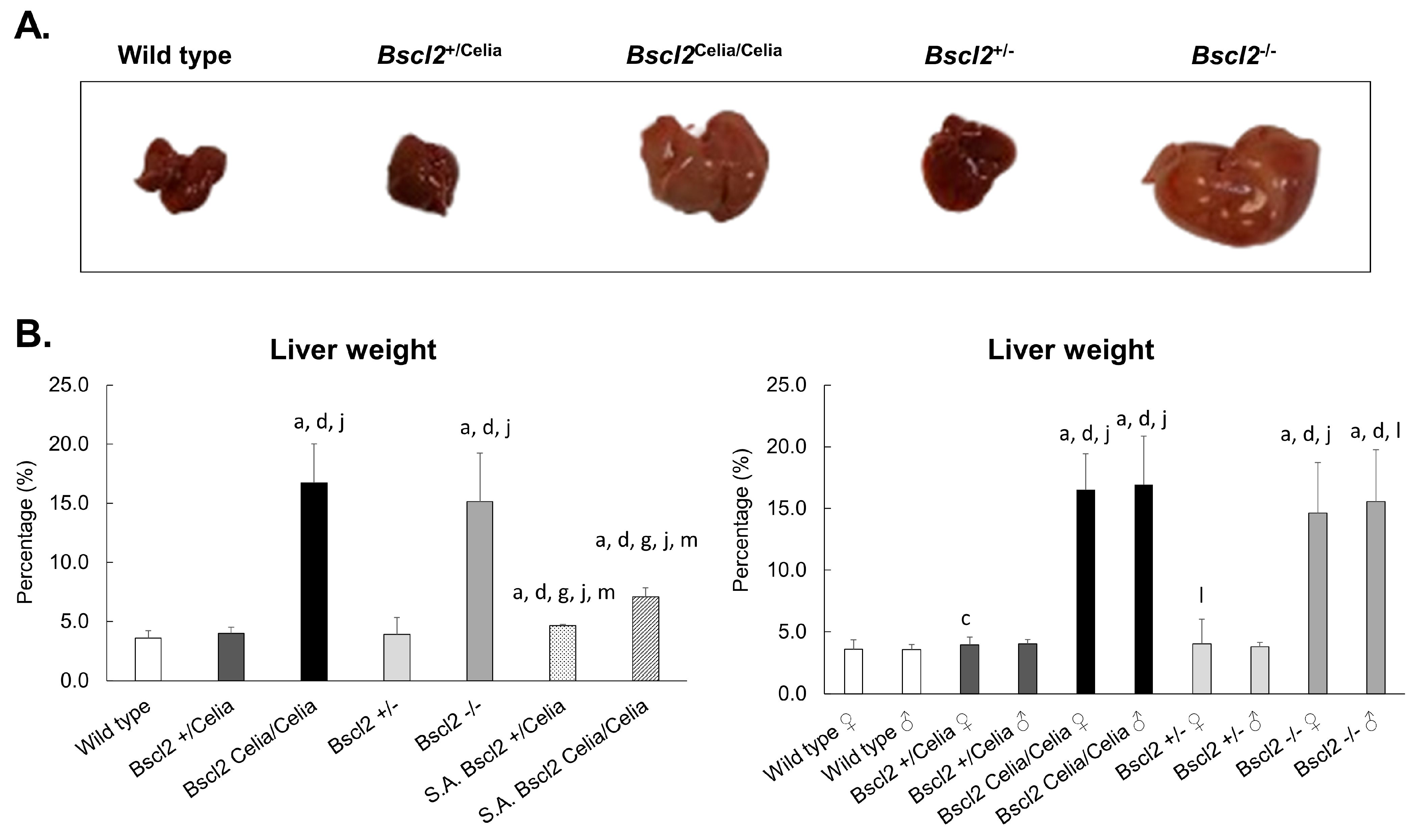 Ijms 26 12037 g001 Ijms 26 12037 g001