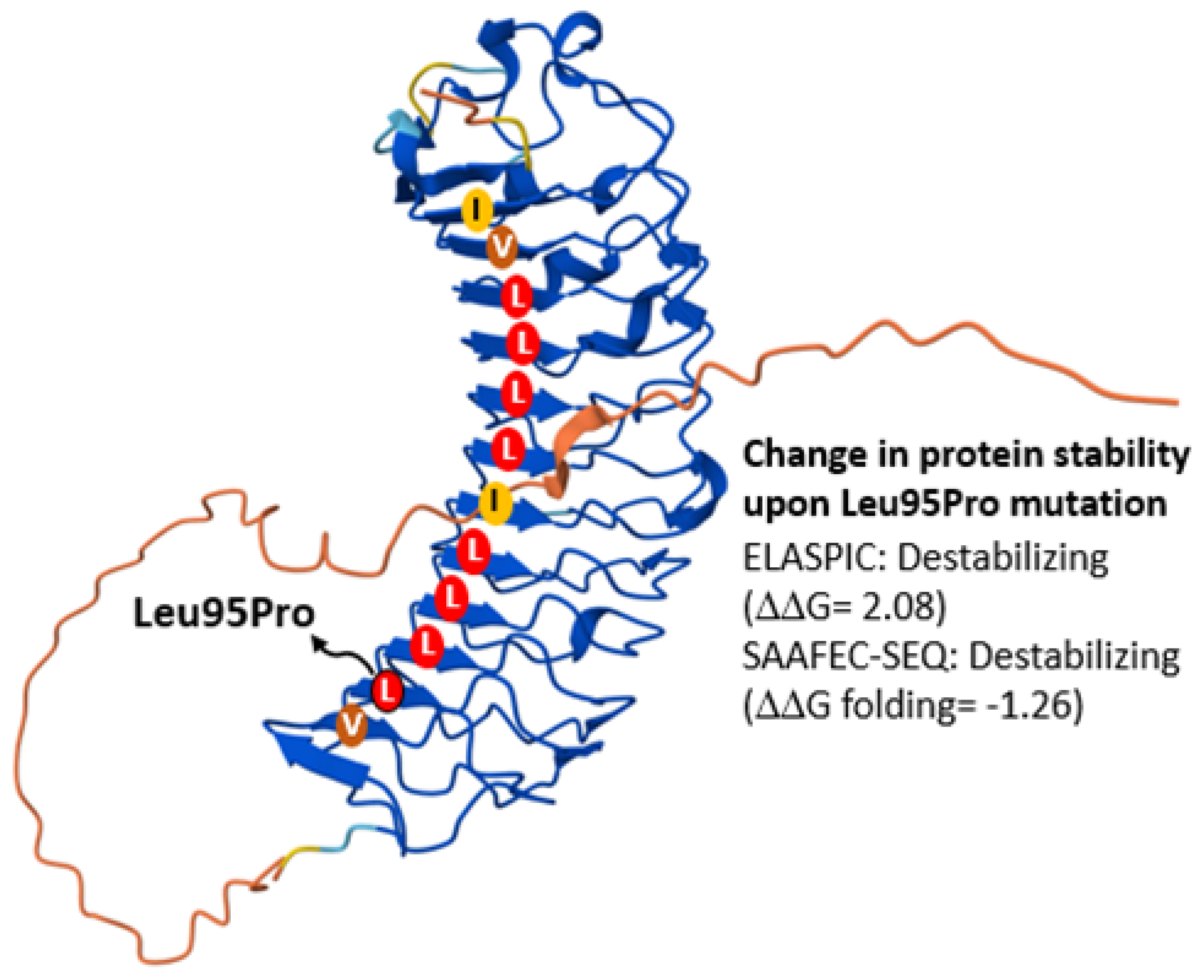 Ijms 26 12044 g002 Ijms 26 12044 g002