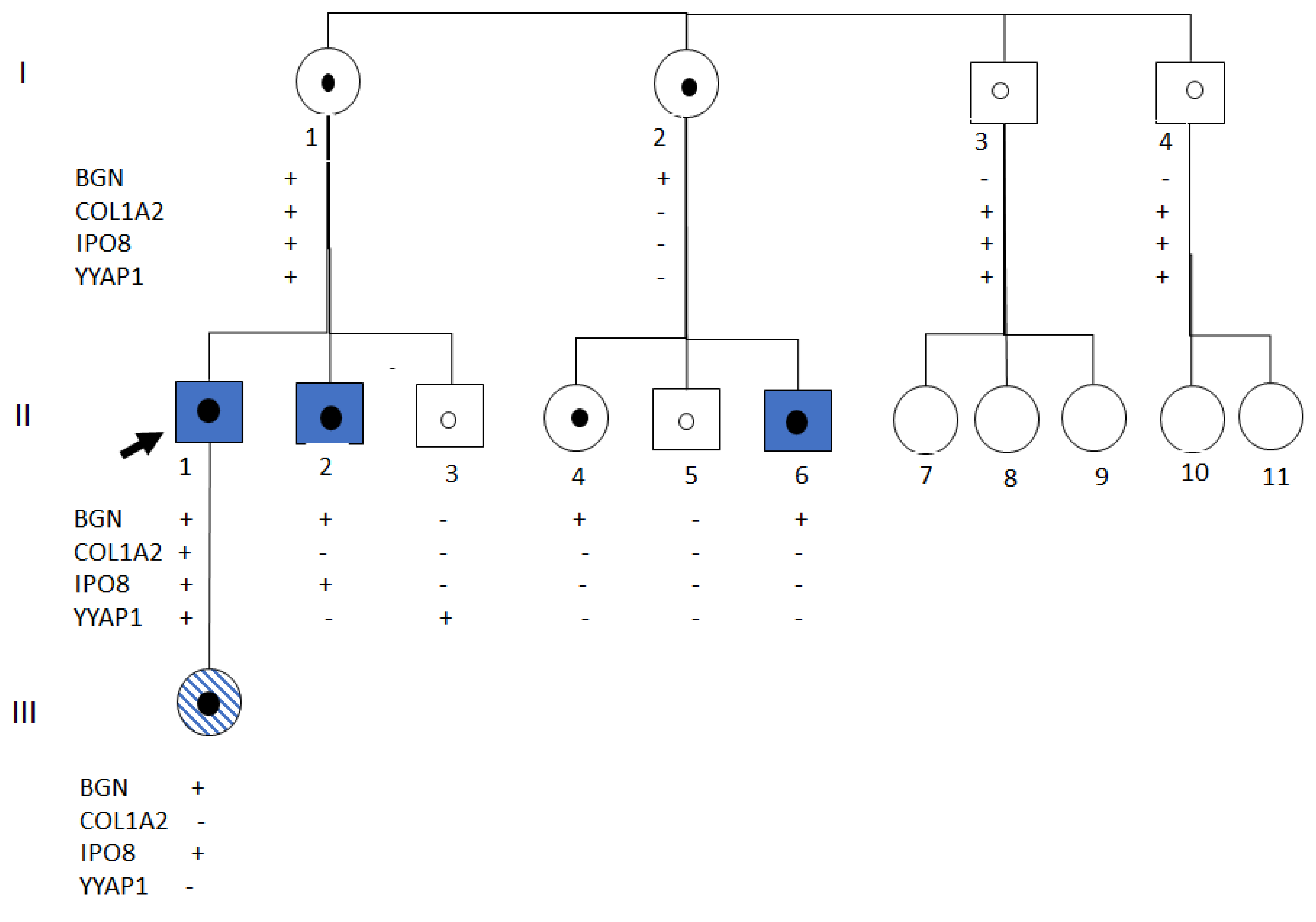 Ijms 26 12044 g003 Ijms 26 12044 g003