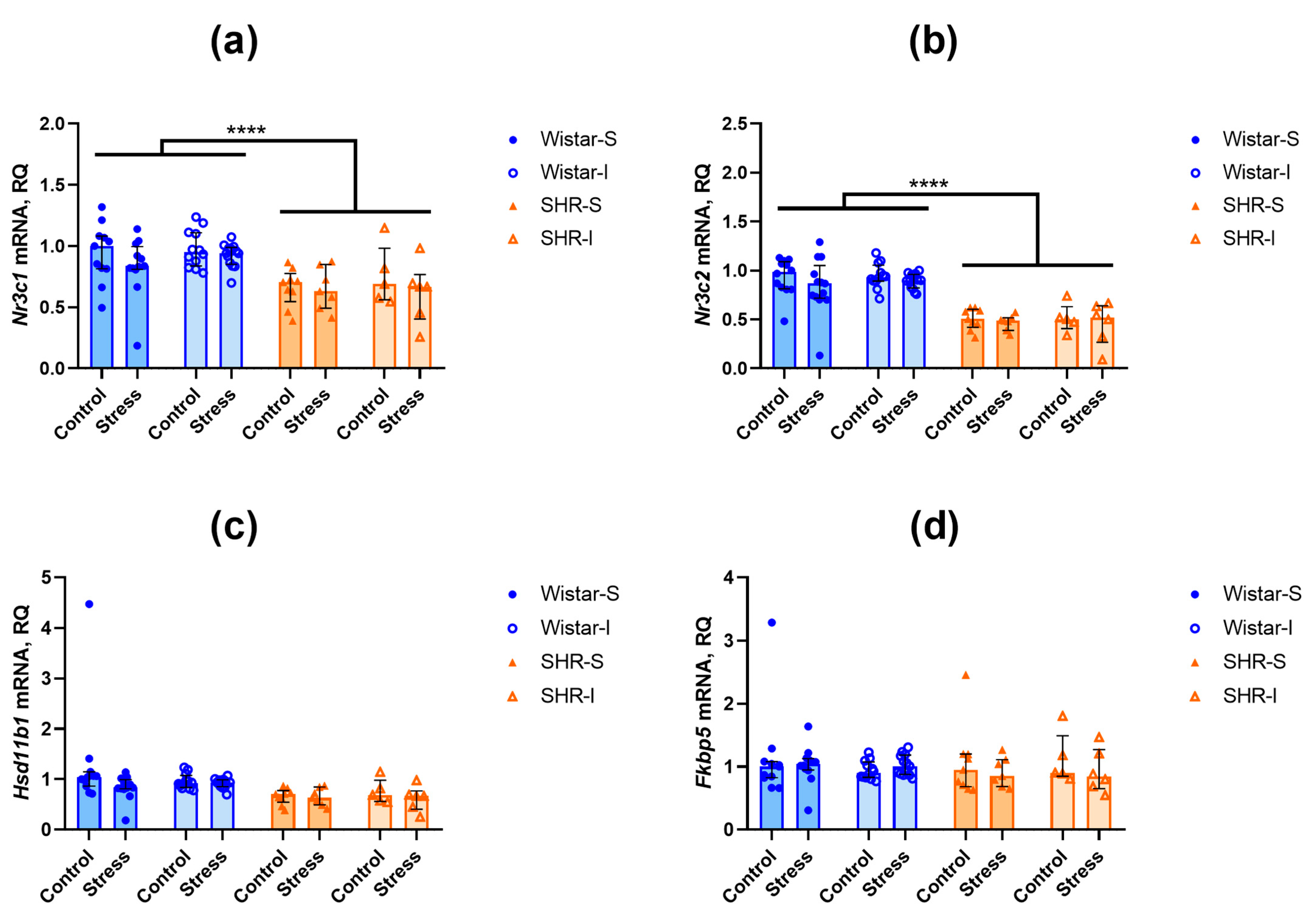 Ijms 26 12050 g004 Ijms 26 12050 g004