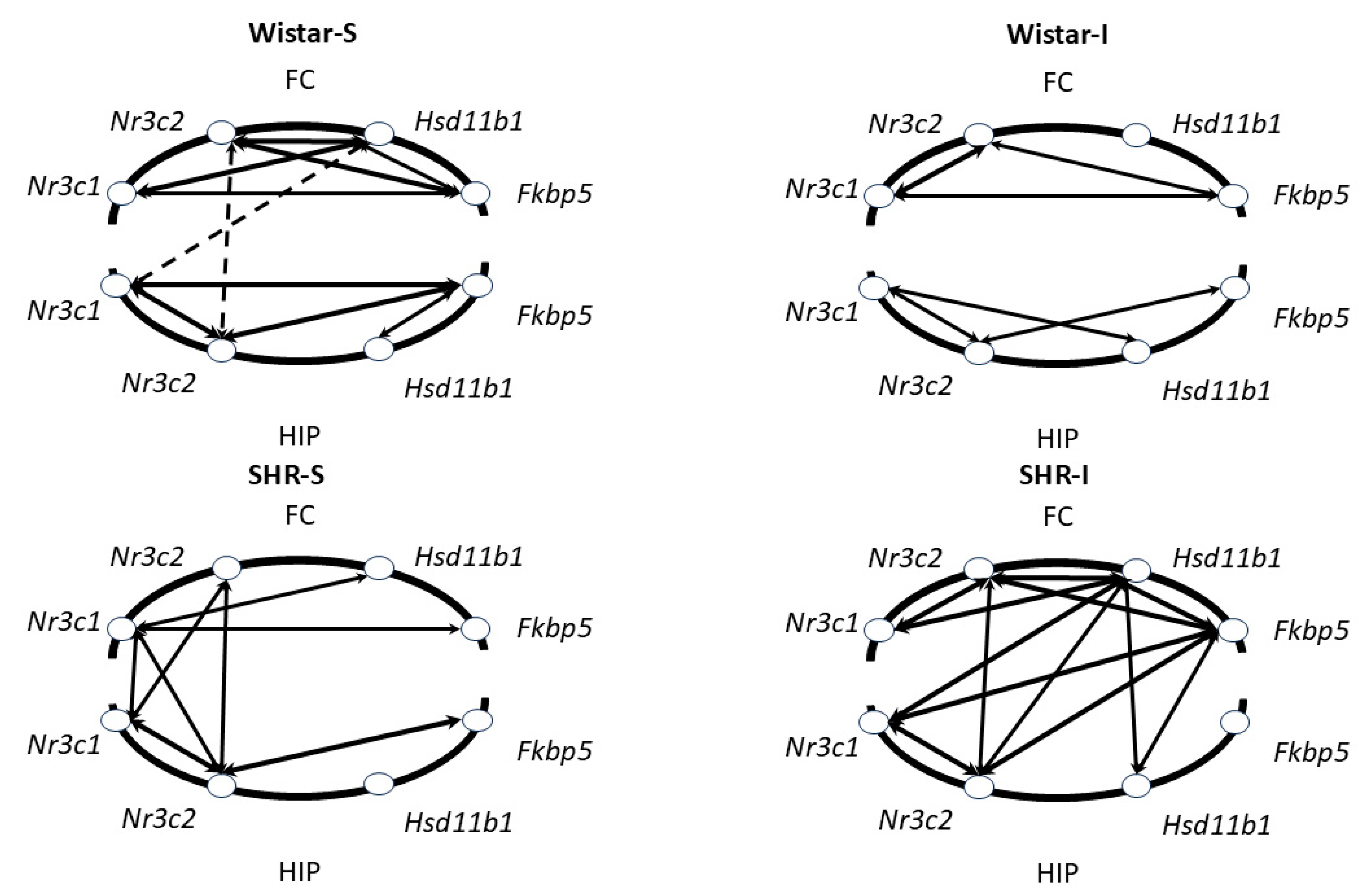 Ijms 26 12050 g006 Ijms 26 12050 g006