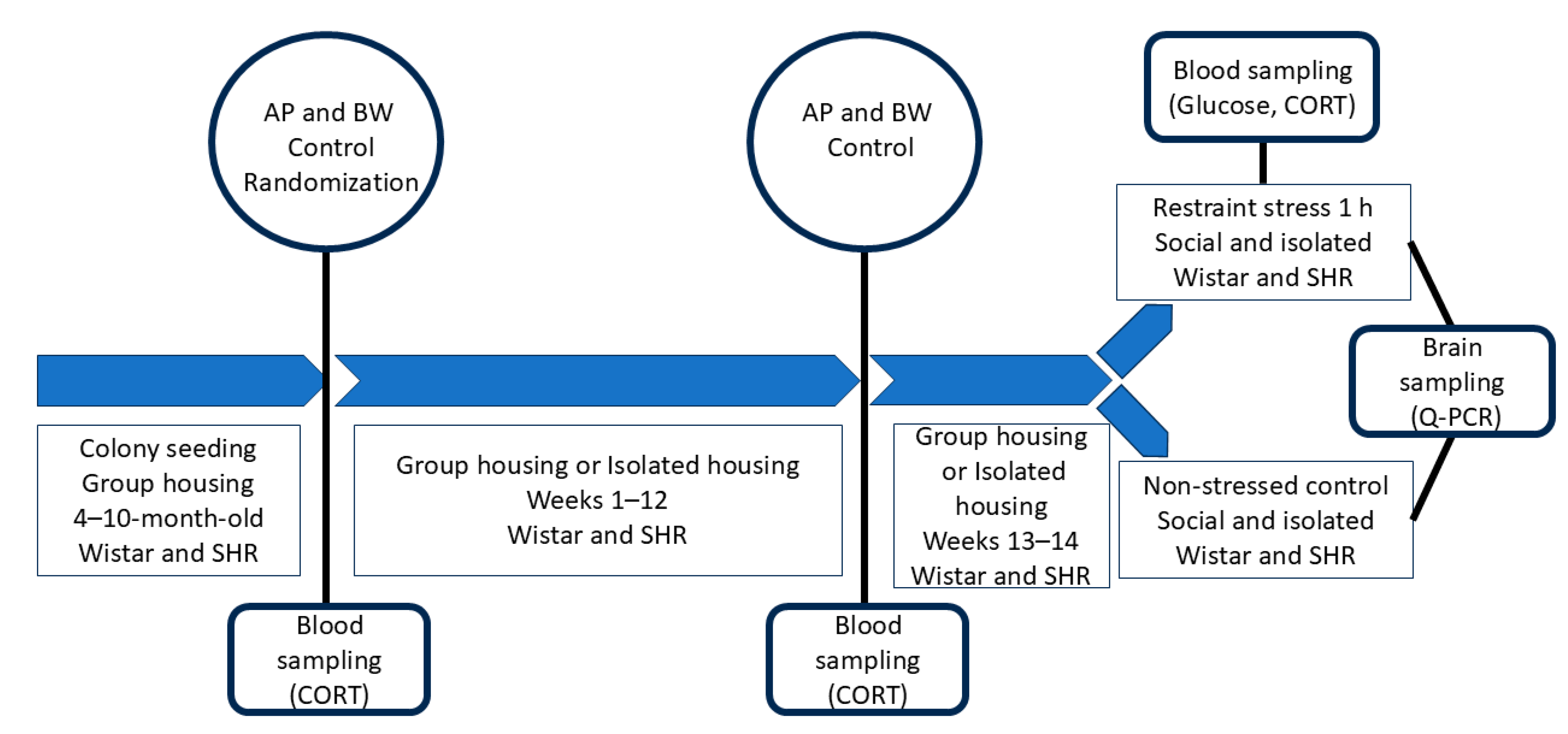 Ijms 26 12050 g007 Ijms 26 12050 g007