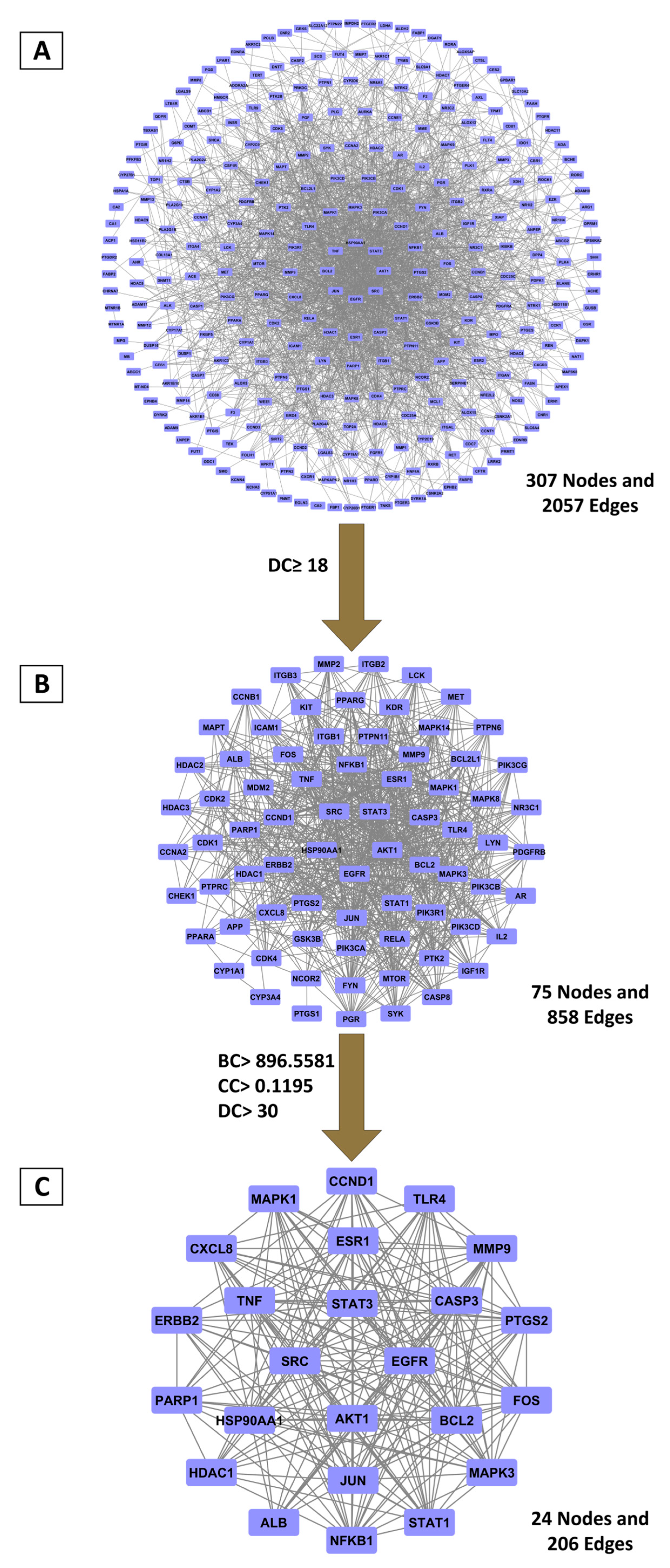 Ijms 26 12053 g001 Ijms 26 12053 g001