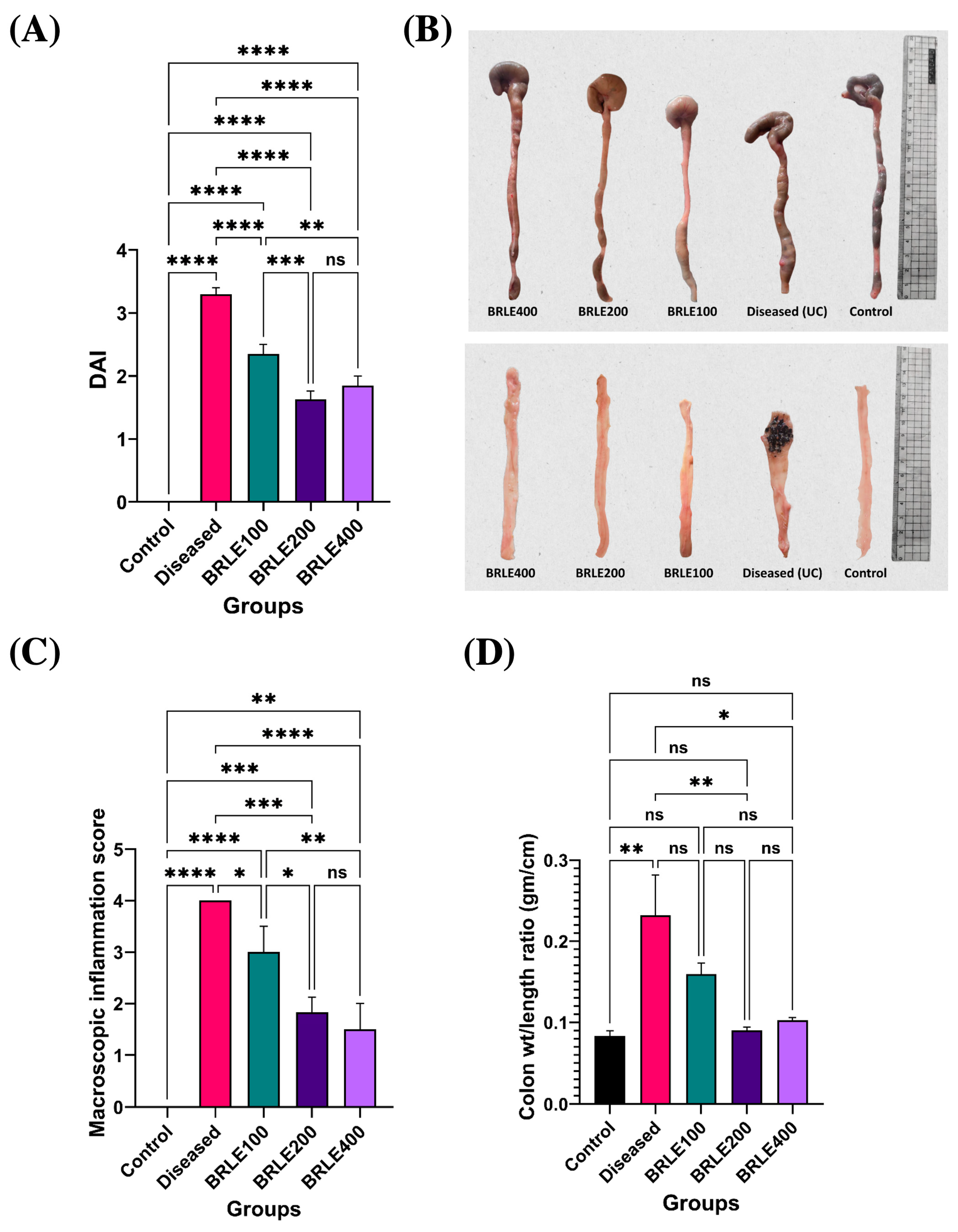 Ijms 26 12053 g004 Ijms 26 12053 g004