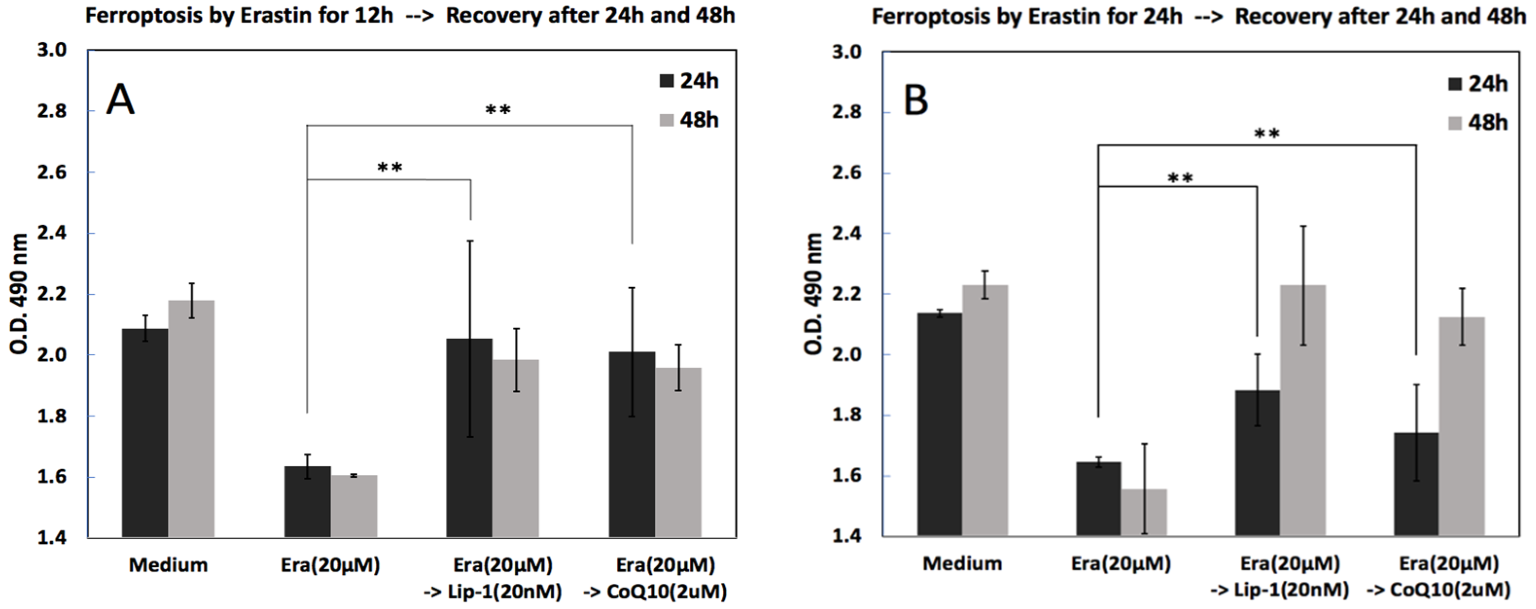Ijms 26 12059 g004 Ijms 26 12059 g004