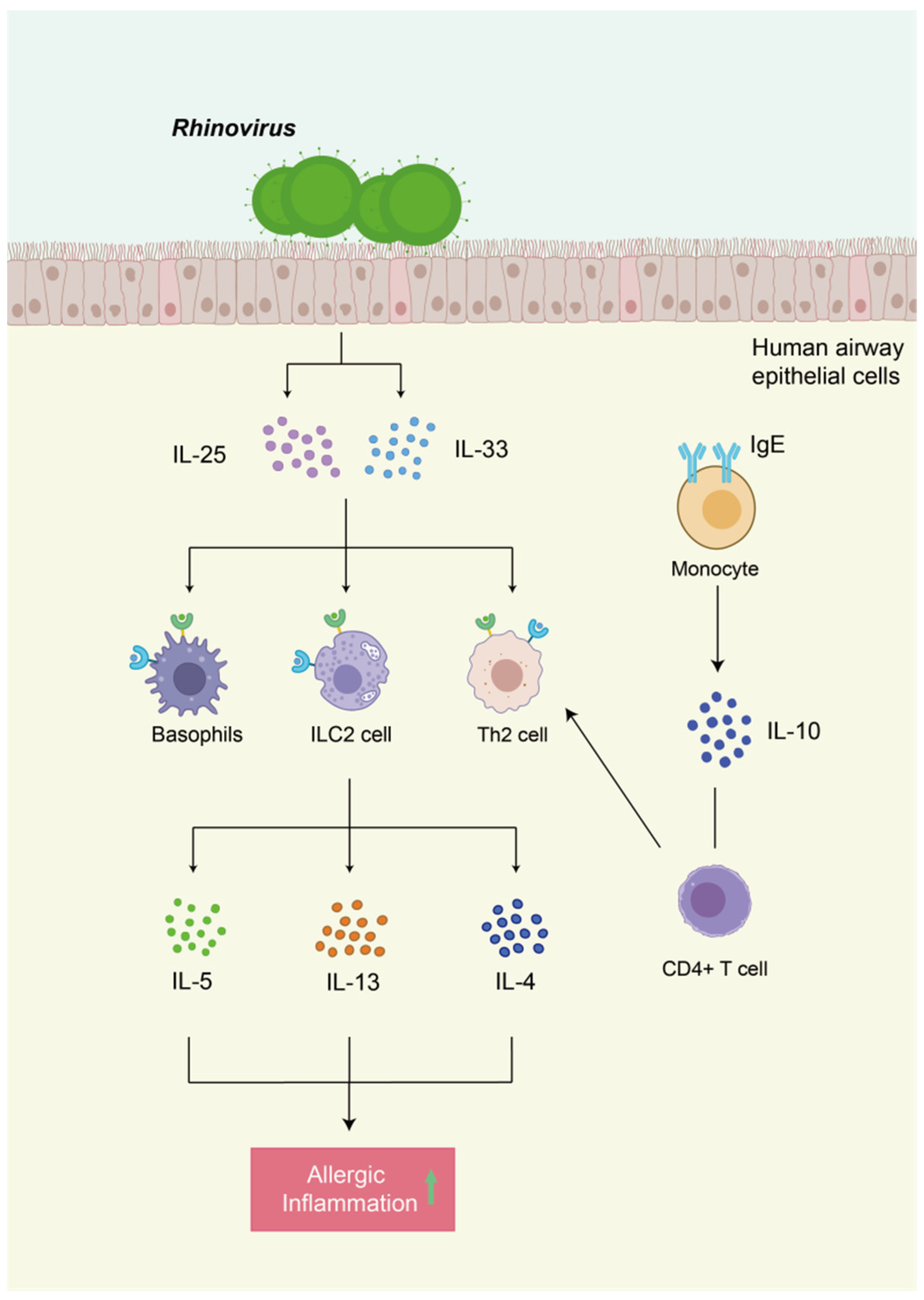 Ijms 26 12061 g002 Ijms 26 12061 g002