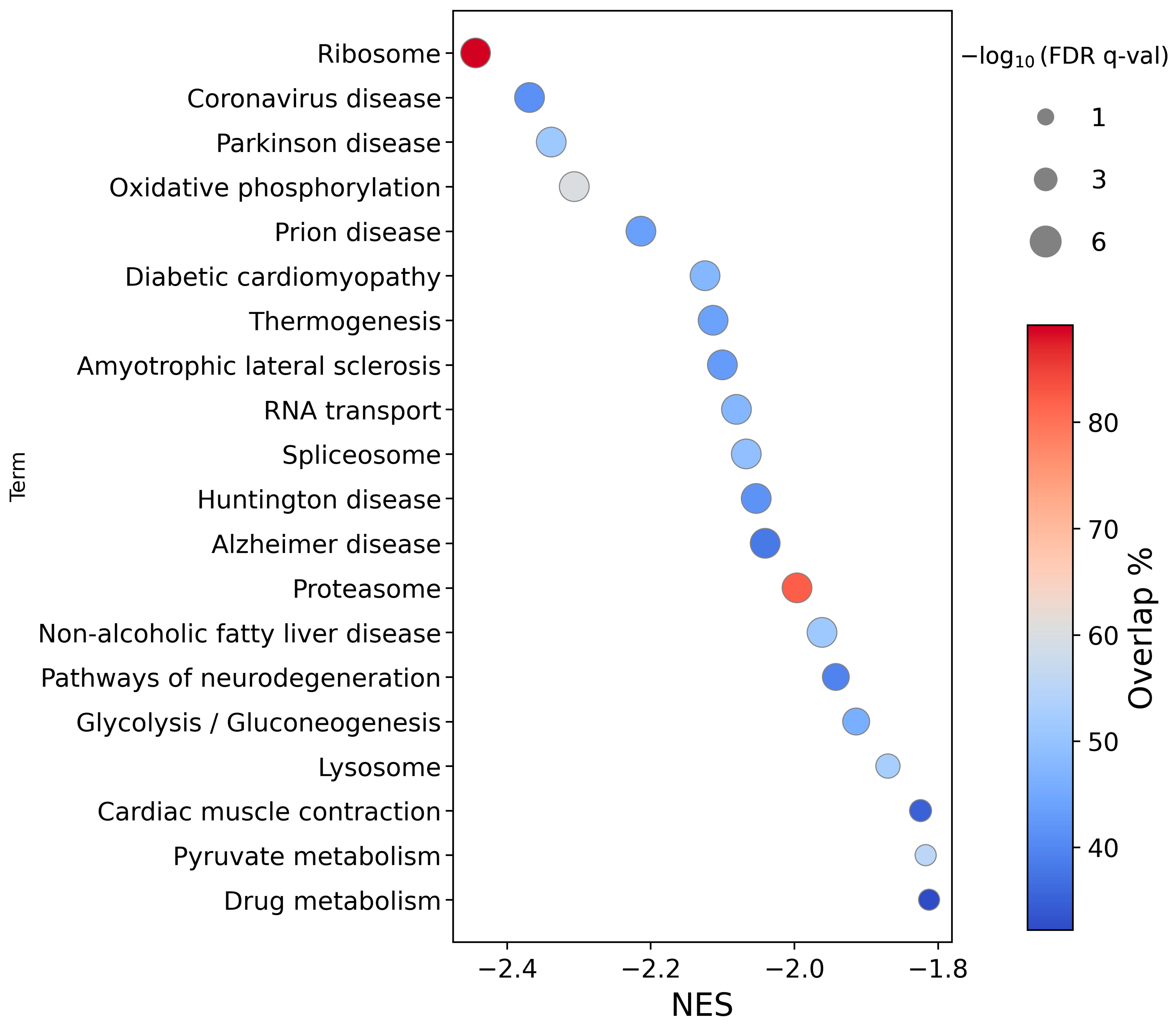 Ijms 26 12064 g004 Ijms 26 12064 g004