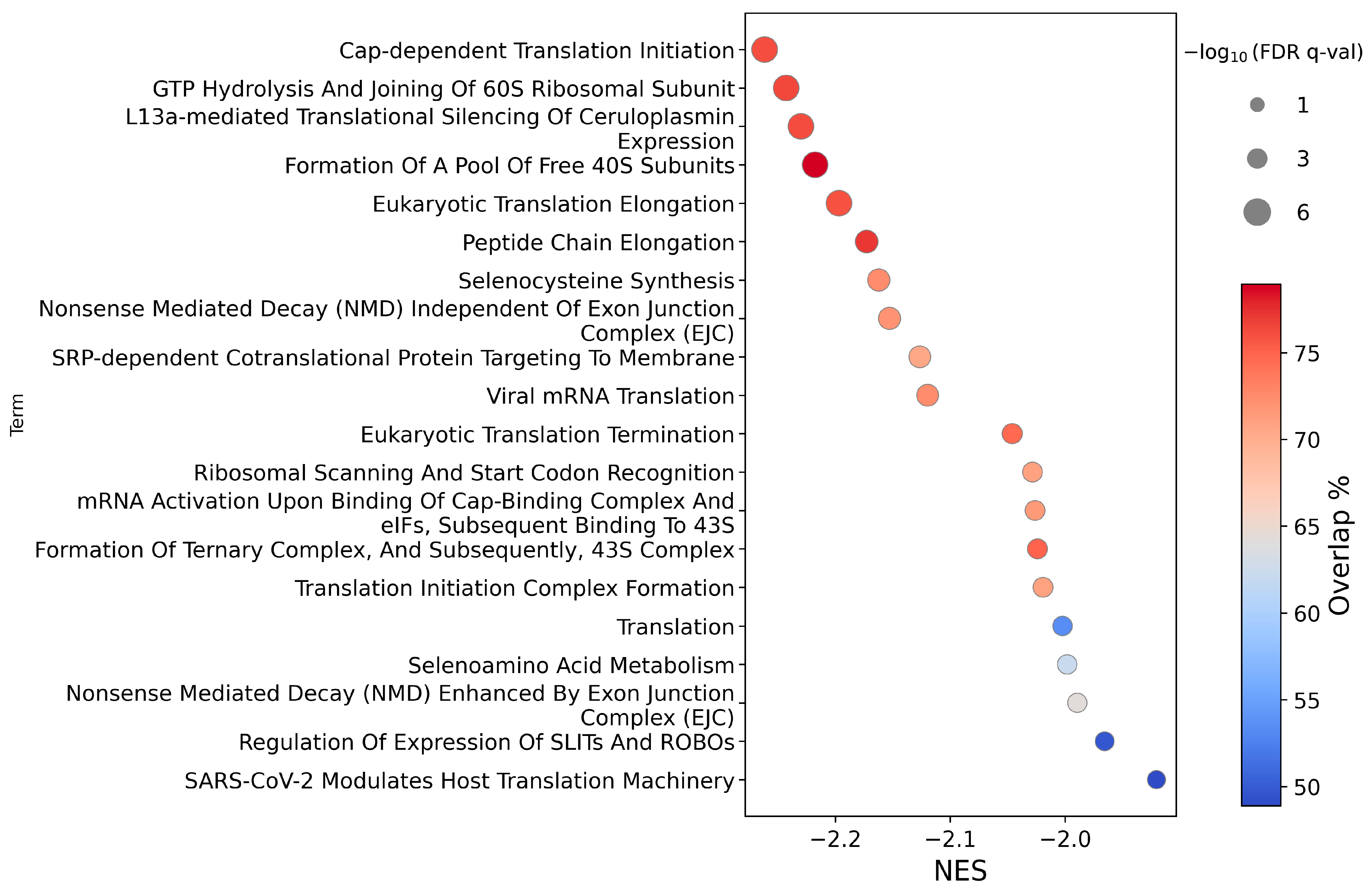 Ijms 26 12064 g005 Ijms 26 12064 g005