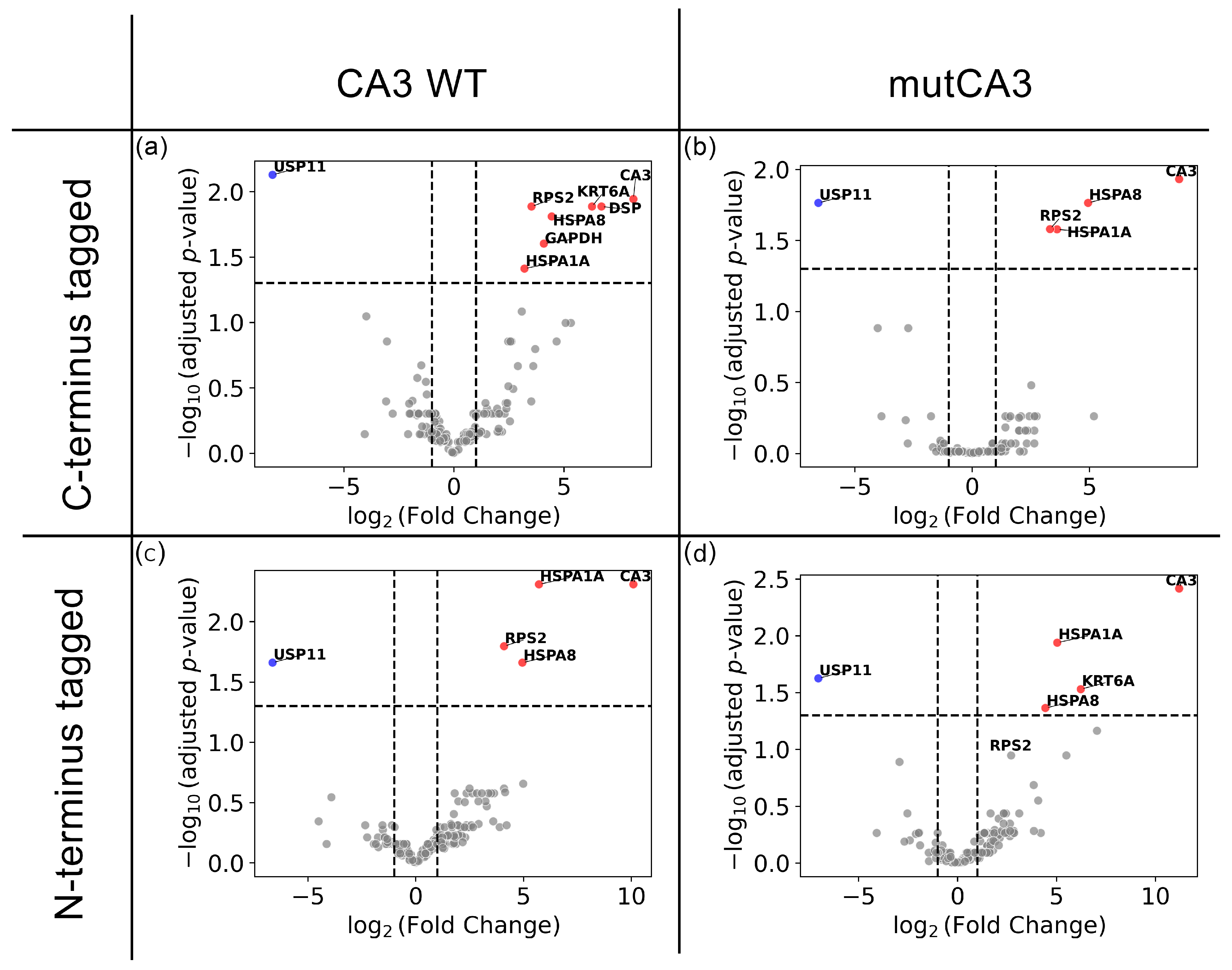 Ijms 26 12064 g007 Ijms 26 12064 g007