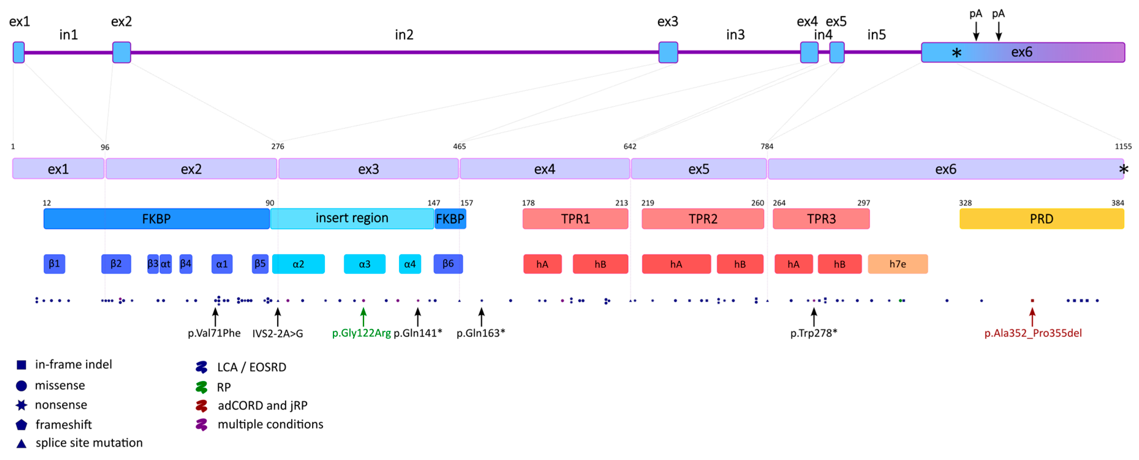 Ijms 26 12066 g001 Ijms 26 12066 g001
