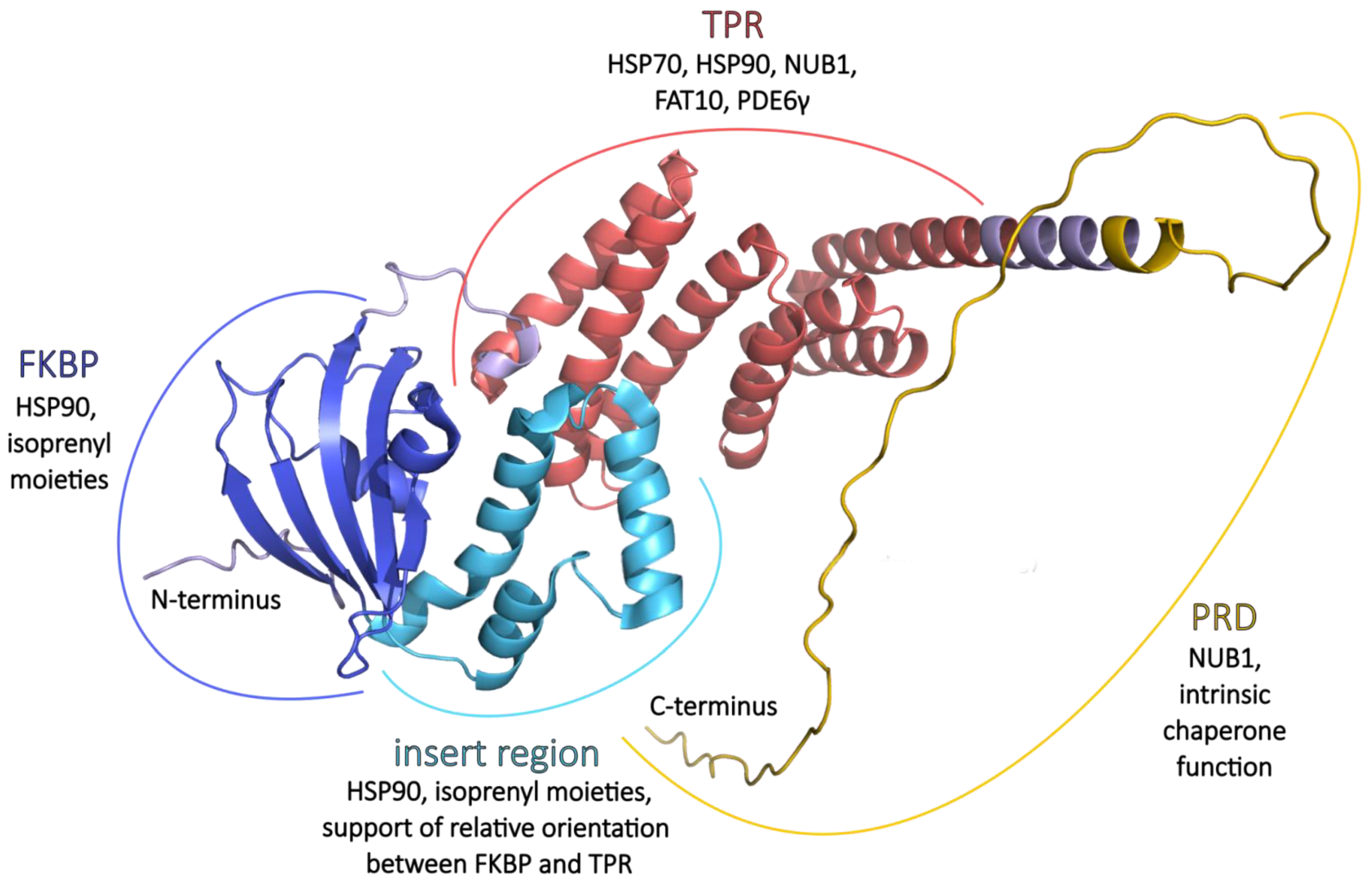 Ijms 26 12066 g002 Ijms 26 12066 g002