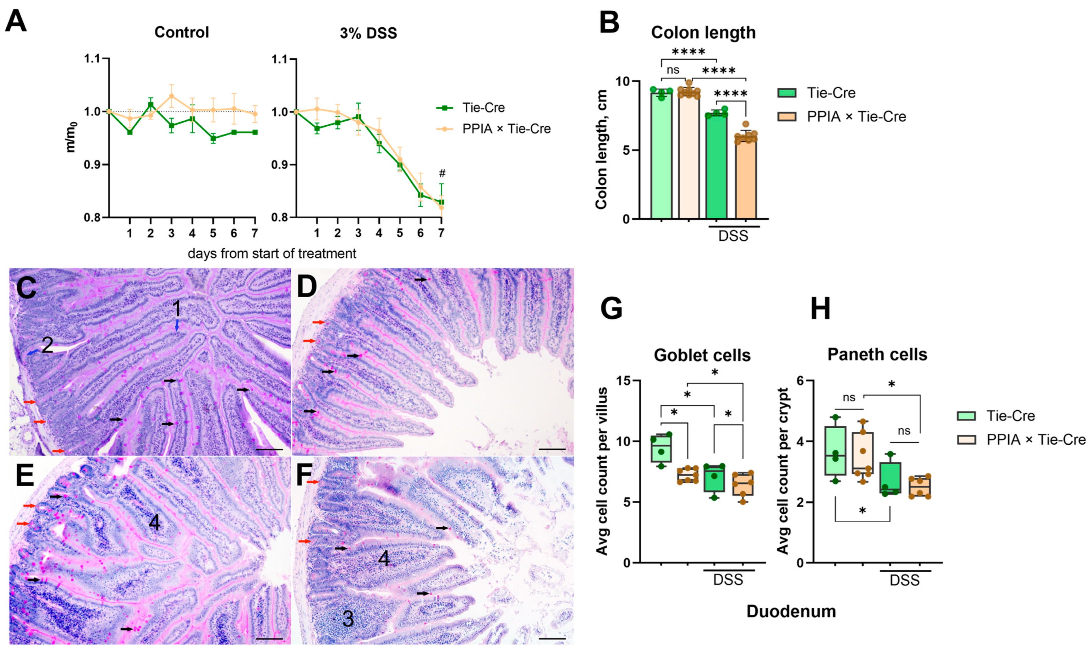 Ijms 26 12068 g002 Ijms 26 12068 g002