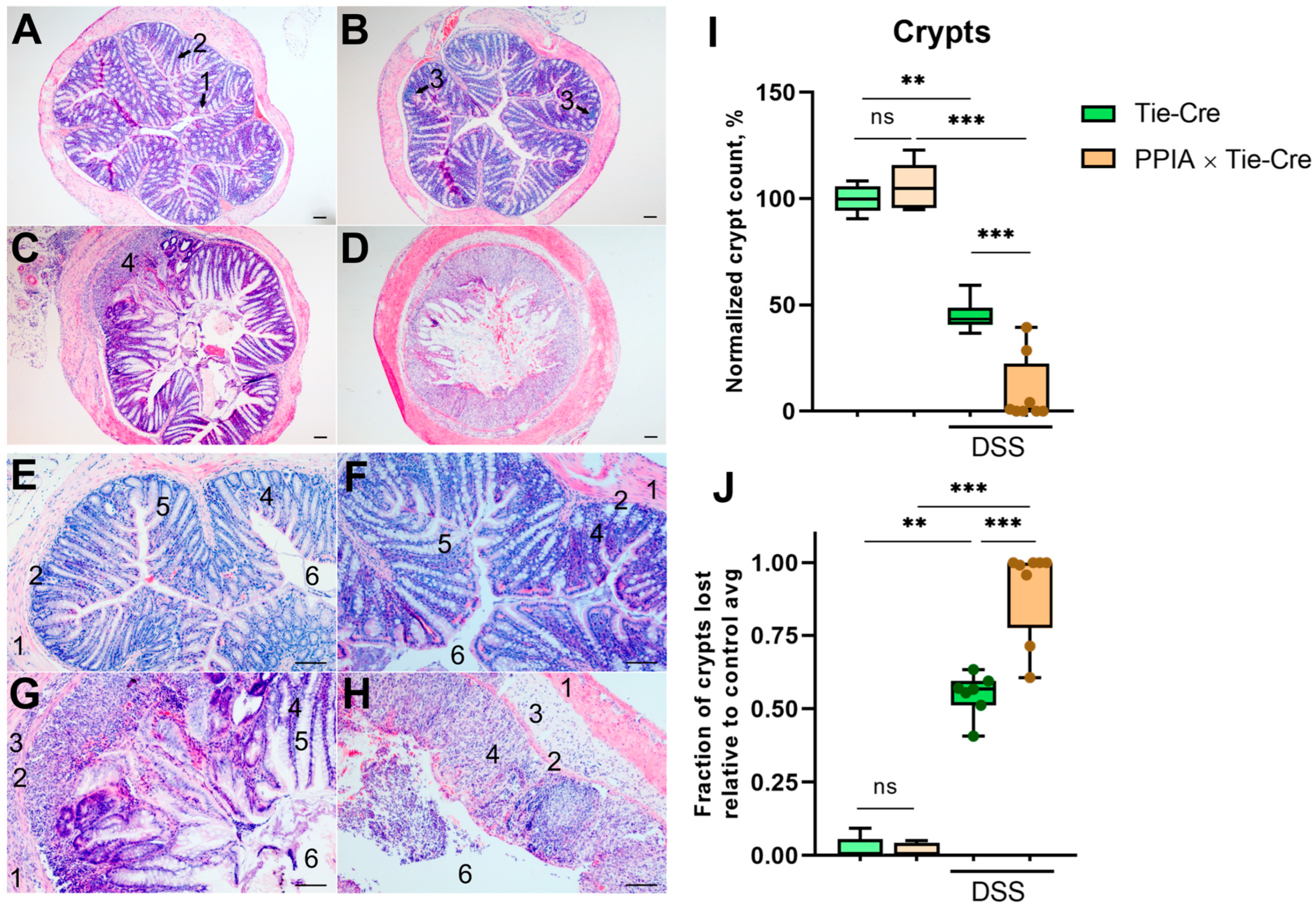 Ijms 26 12068 g003 Ijms 26 12068 g003