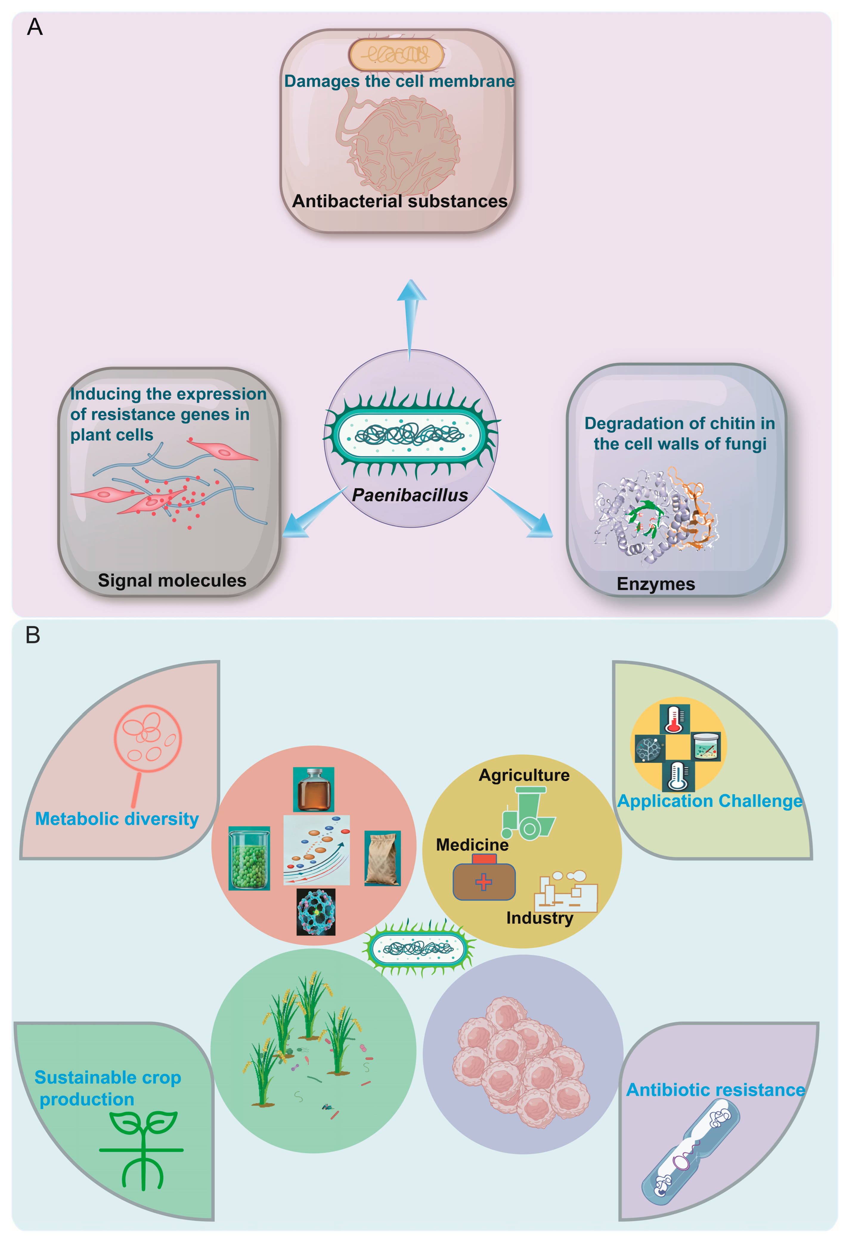 Ijms 26 12089 g001 Ijms 26 12089 g001