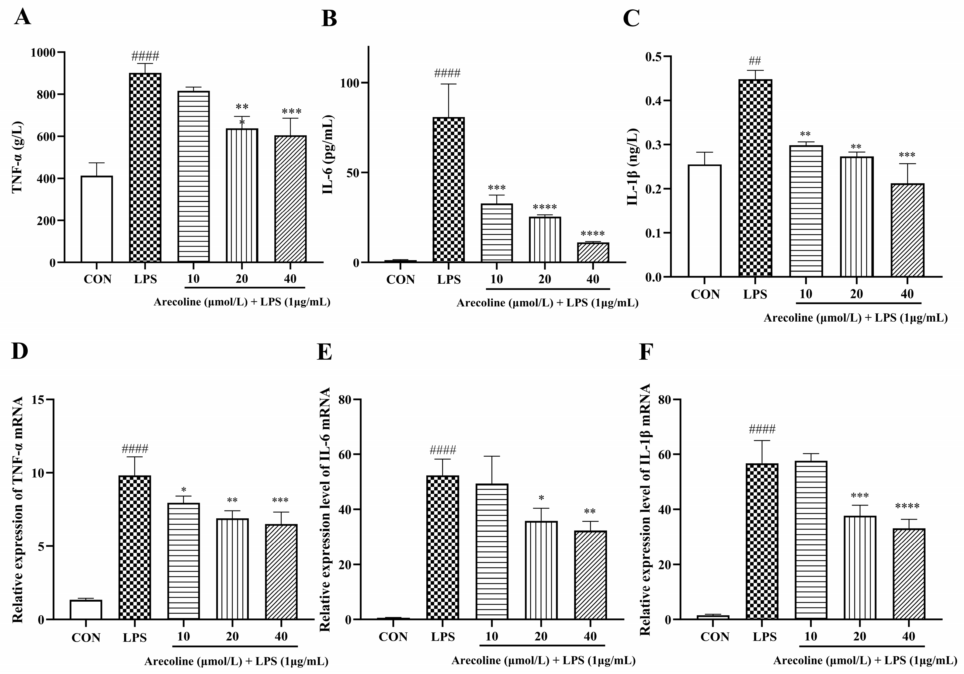 Ijms 26 12097 g004 Ijms 26 12097 g004
