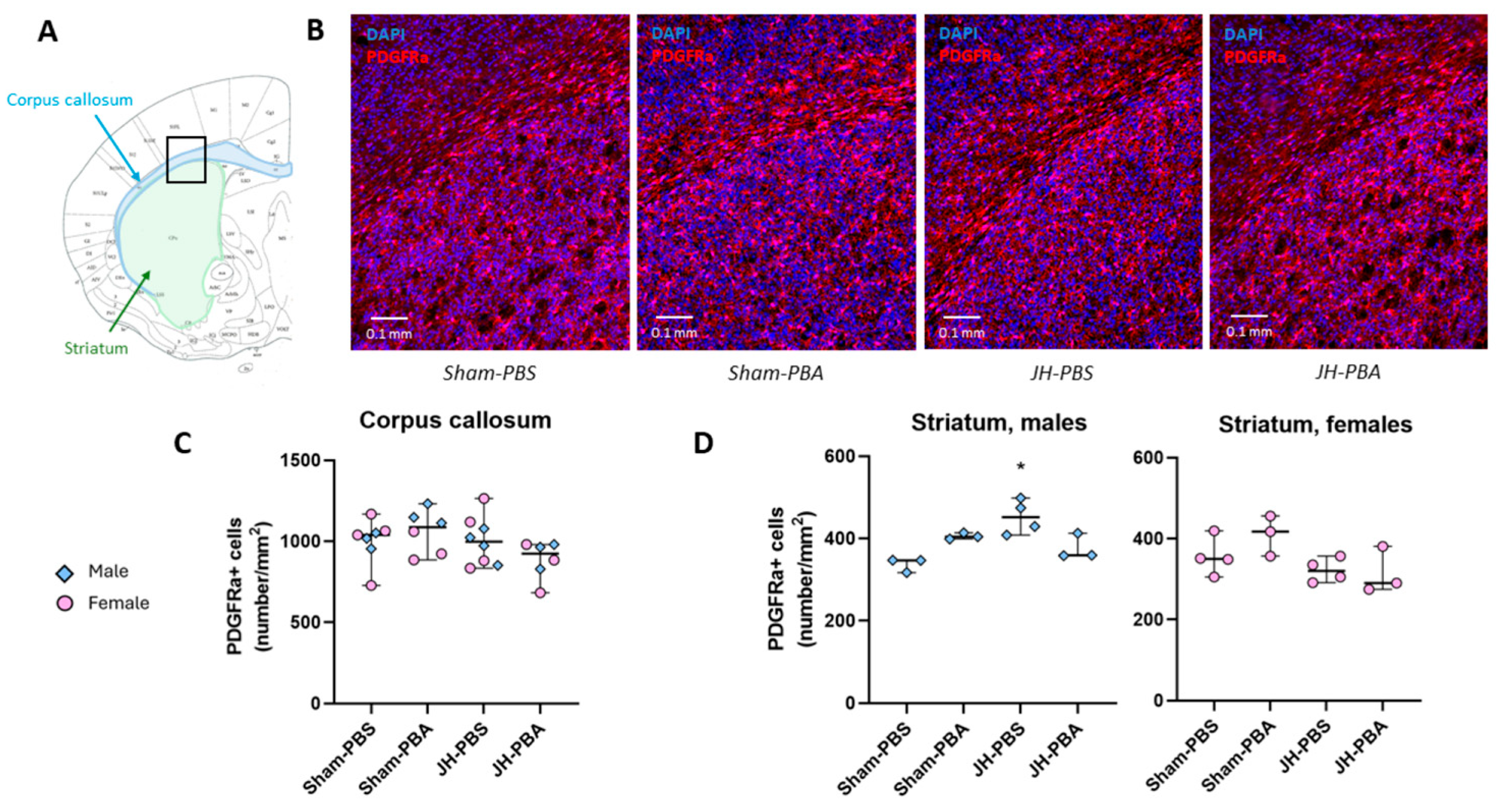 Ijms 26 12099 g001 Ijms 26 12099 g001