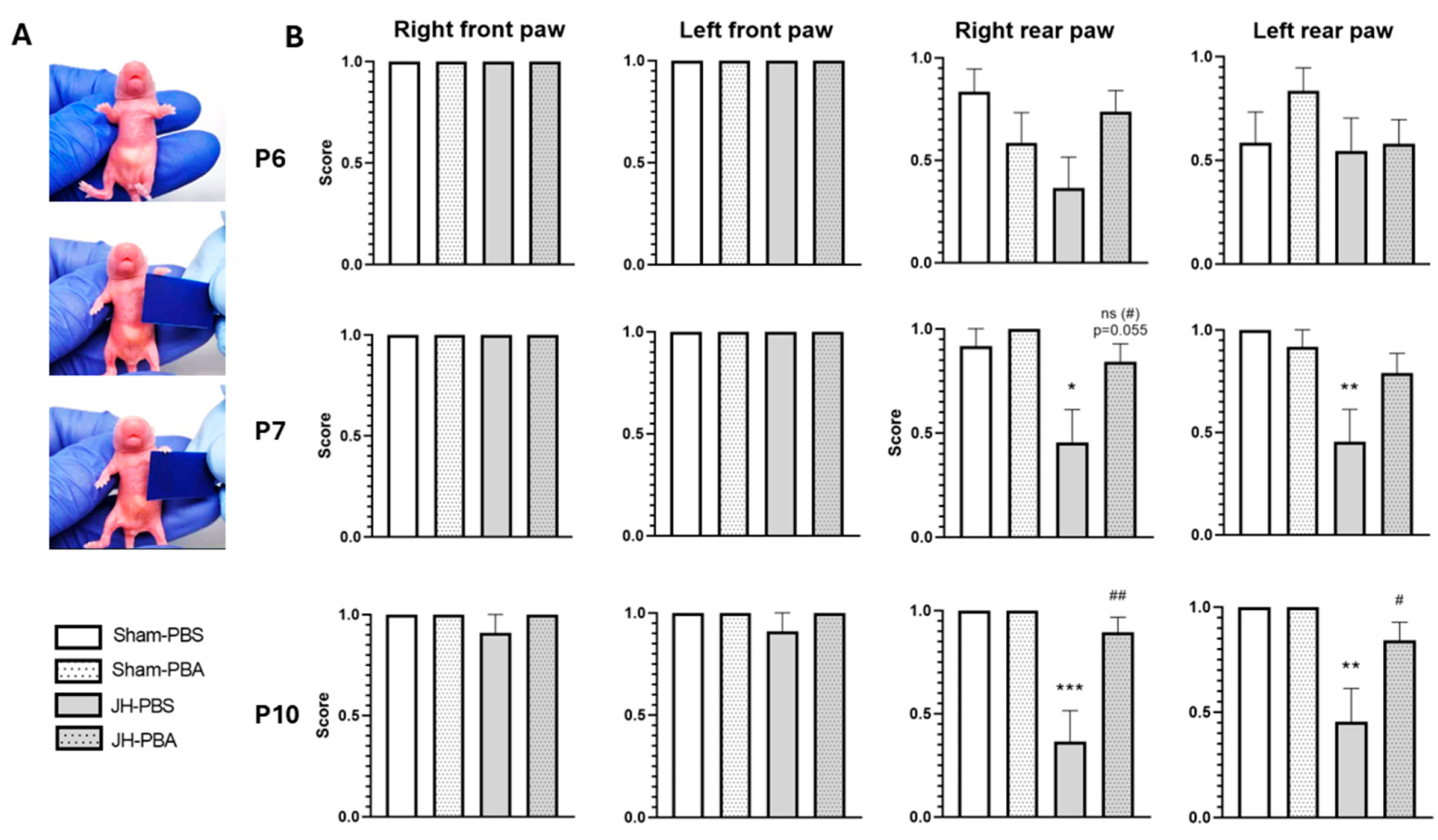 Ijms 26 12099 g003 Ijms 26 12099 g003
