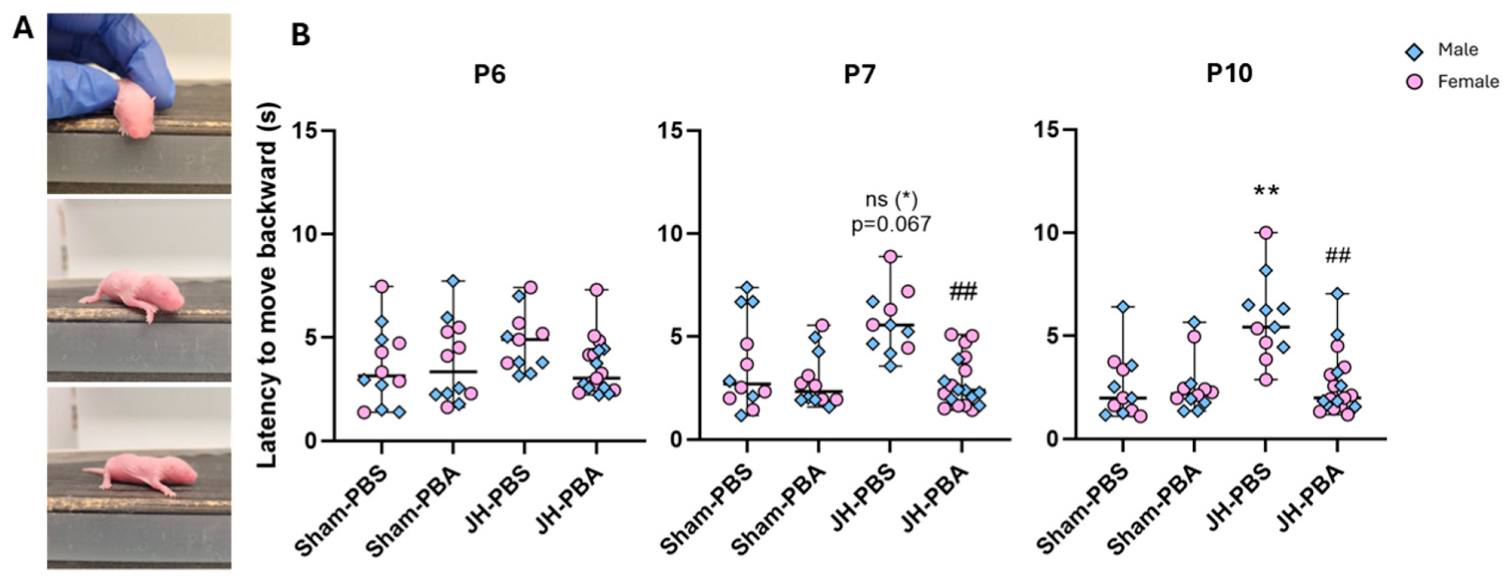 Ijms 26 12099 g004 Ijms 26 12099 g004