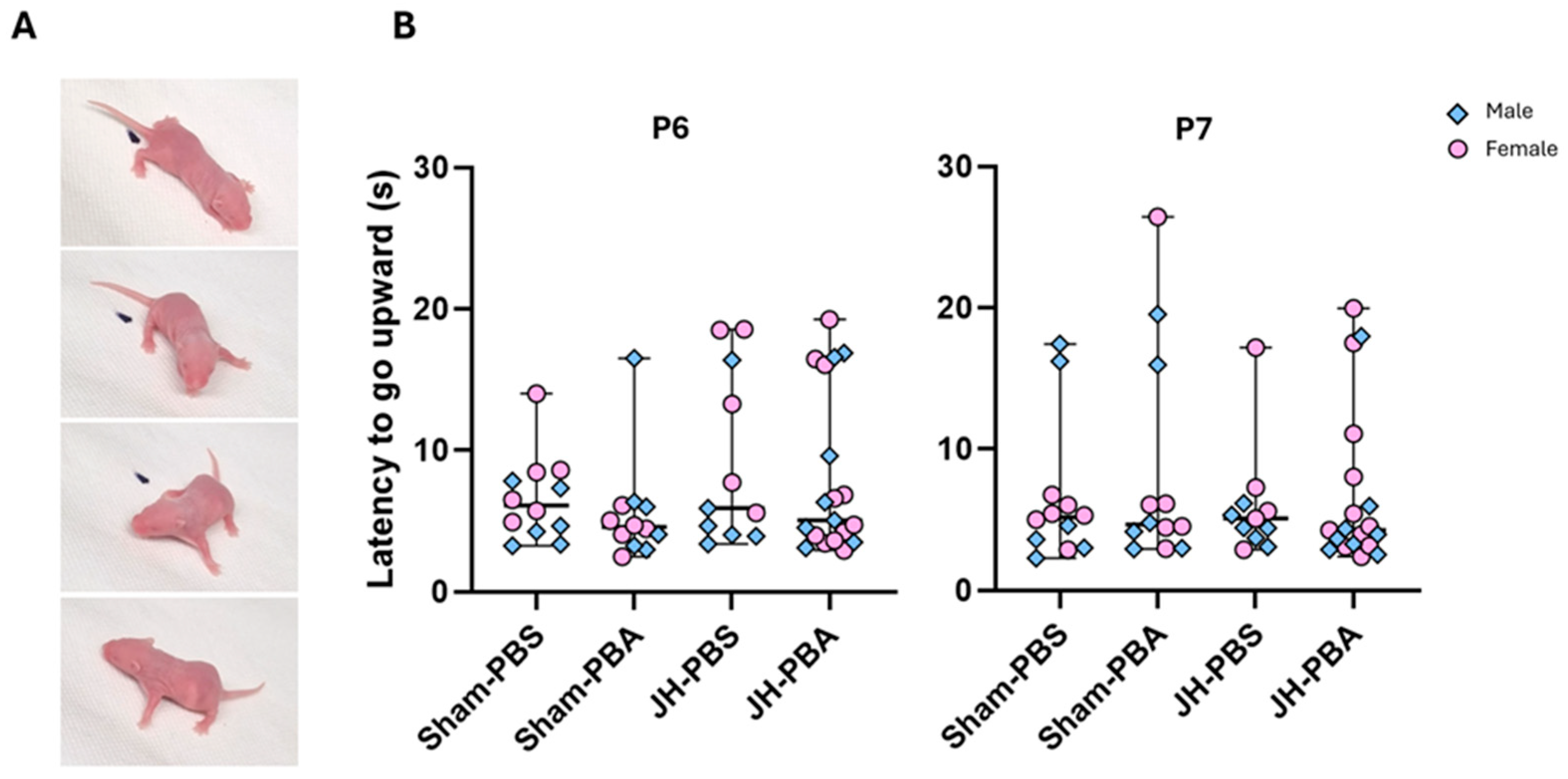 Ijms 26 12099 g005 Ijms 26 12099 g005