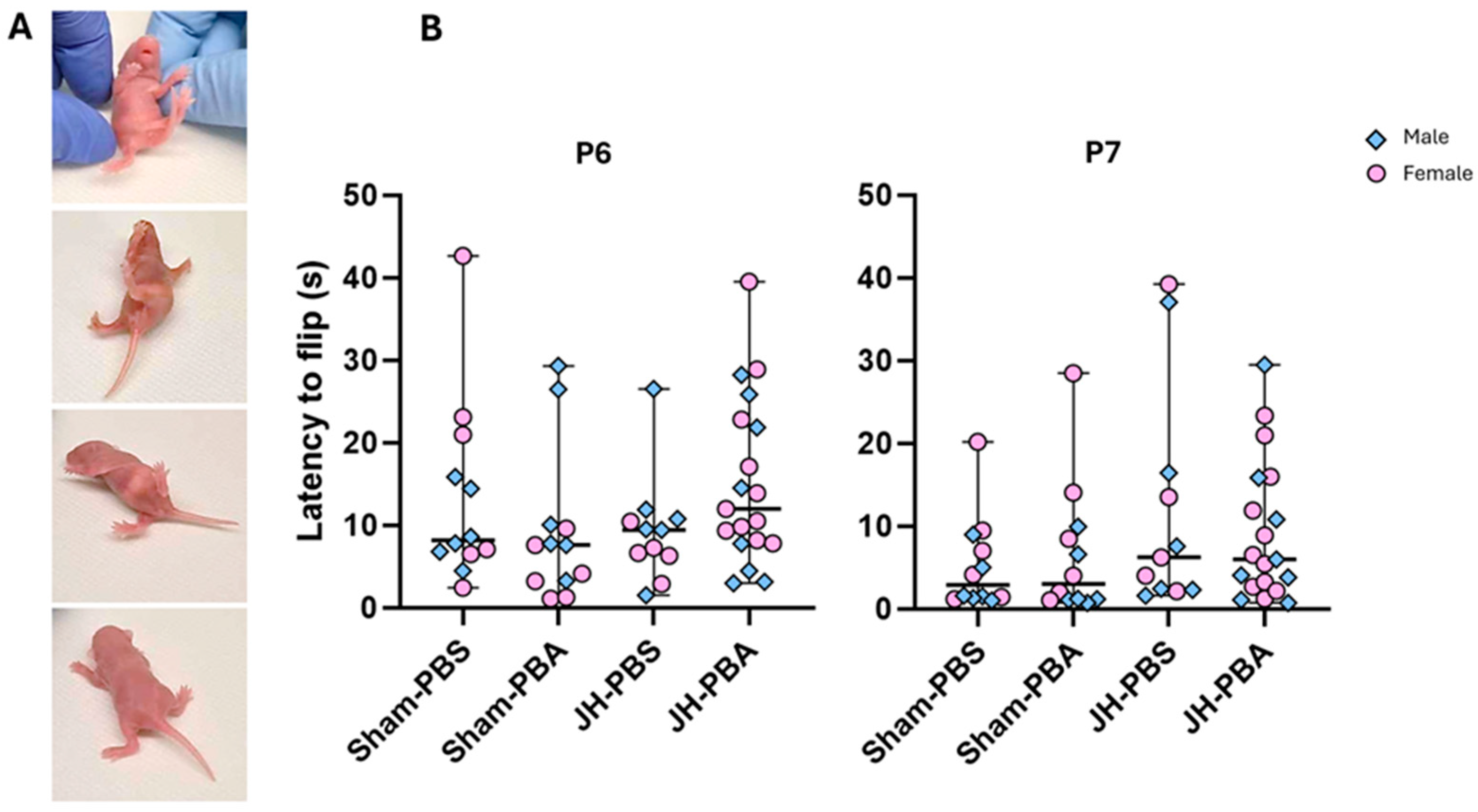 Ijms 26 12099 g006 Ijms 26 12099 g006