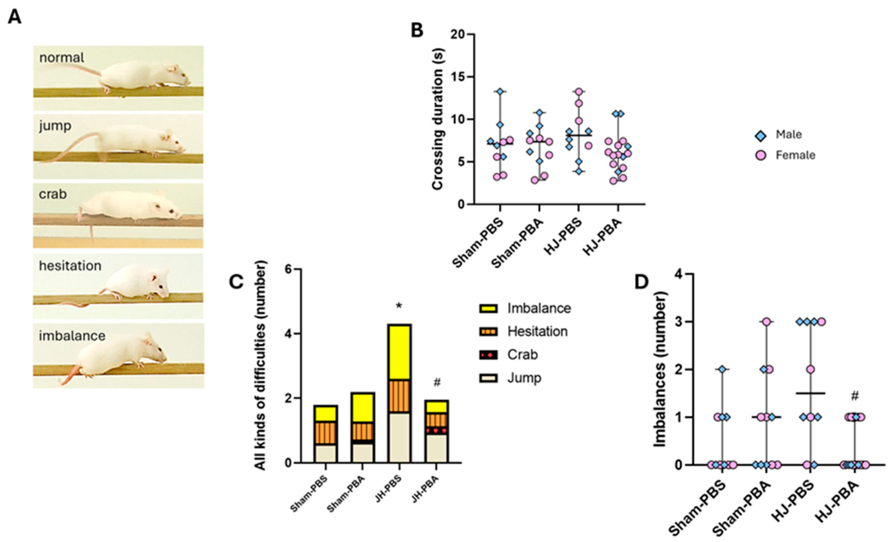 Ijms 26 12099 g010 Ijms 26 12099 g010