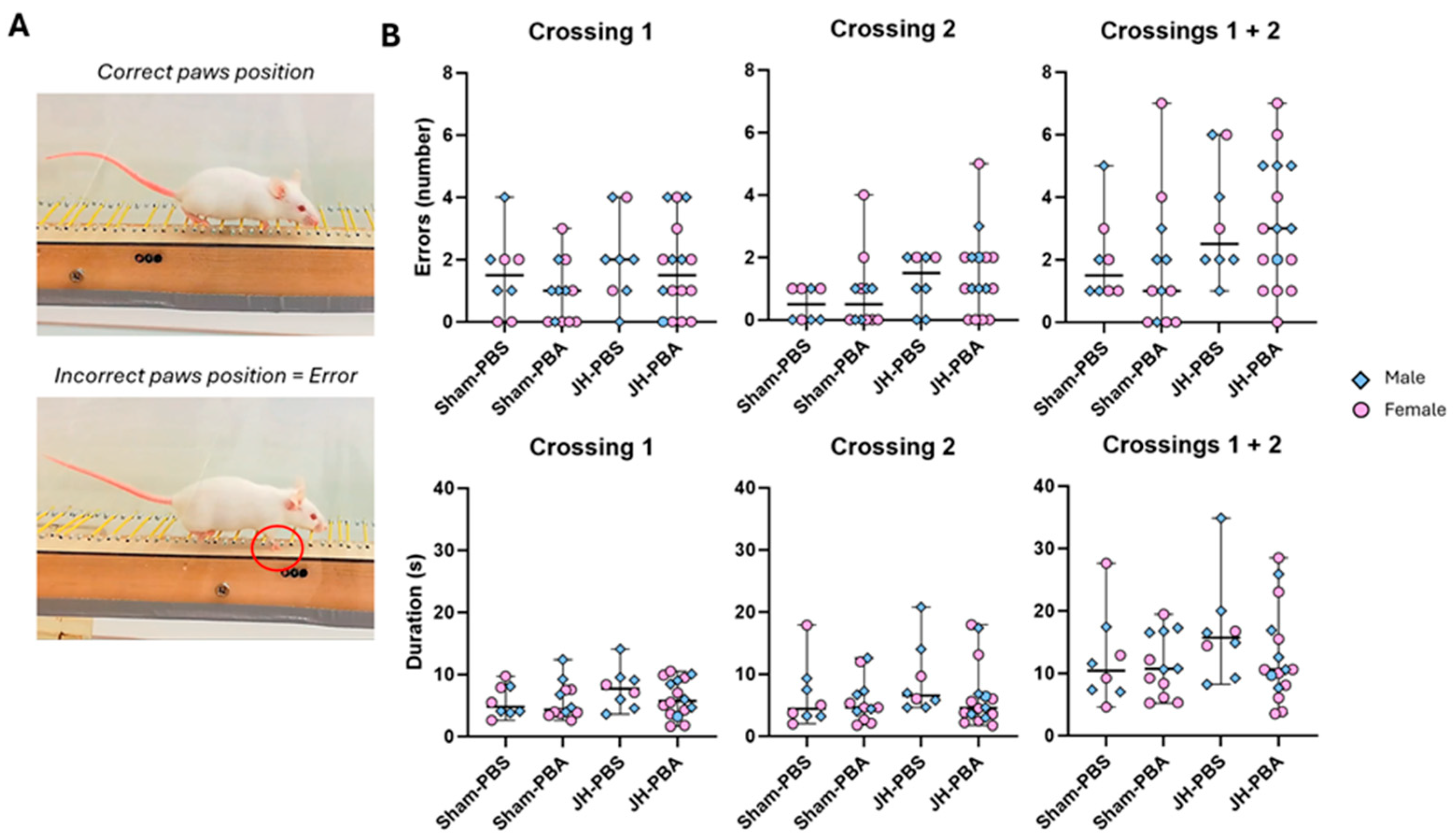 Ijms 26 12099 g011 Ijms 26 12099 g011