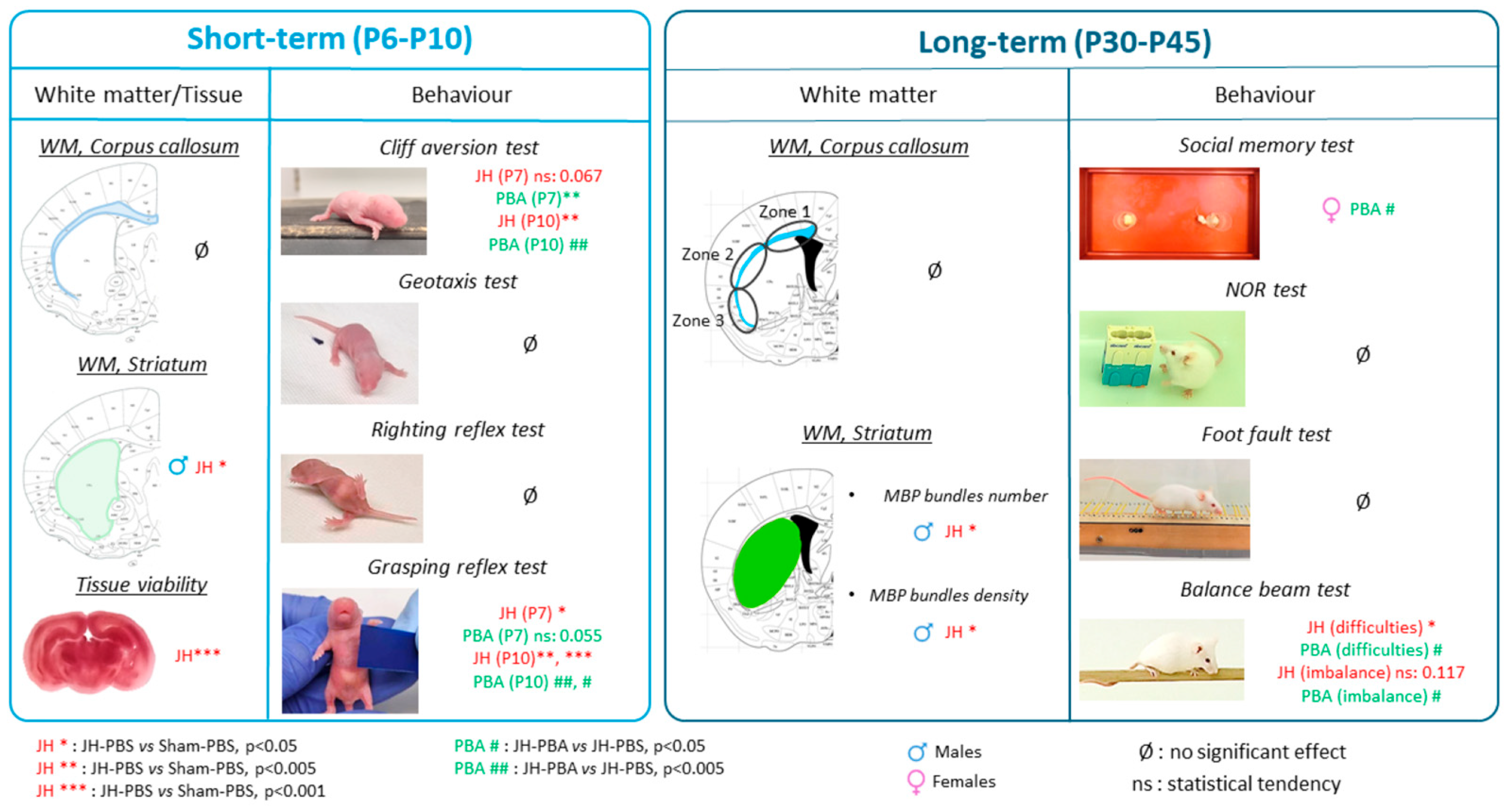 Ijms 26 12099 g014 Ijms 26 12099 g014