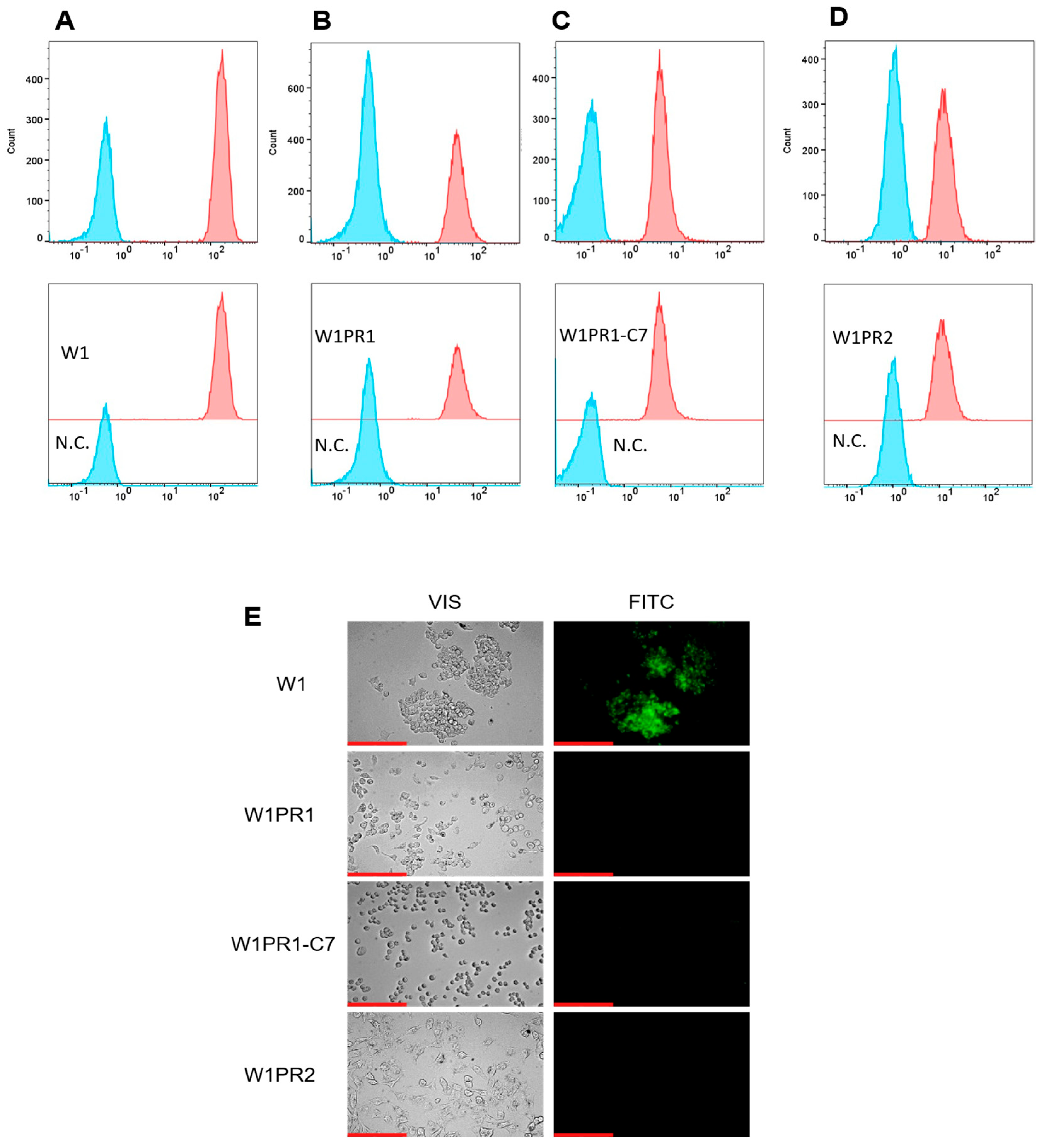 Ijms 26 12105 g002 Ijms 26 12105 g002