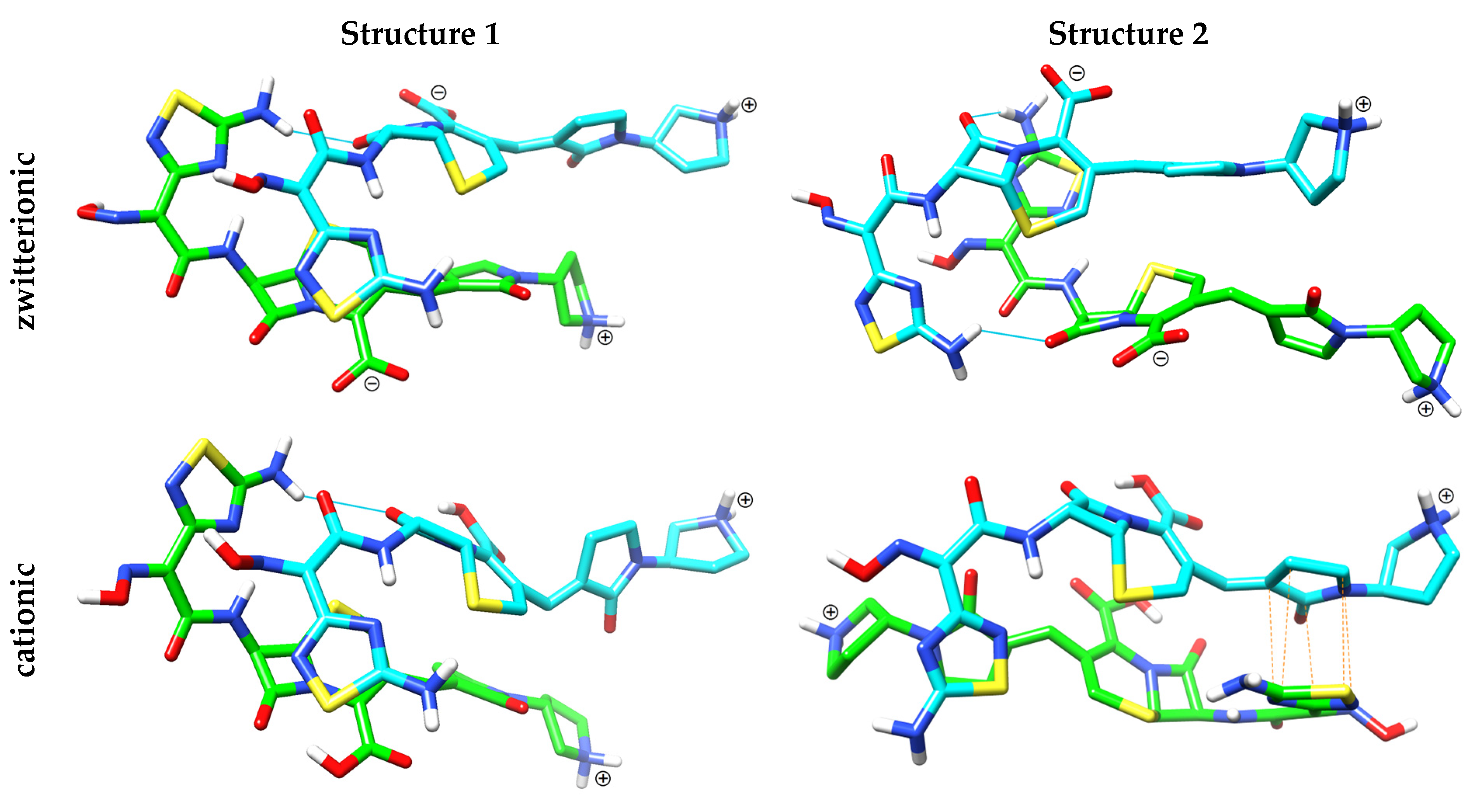 Ijms 26 12108 g003 Ijms 26 12108 g003