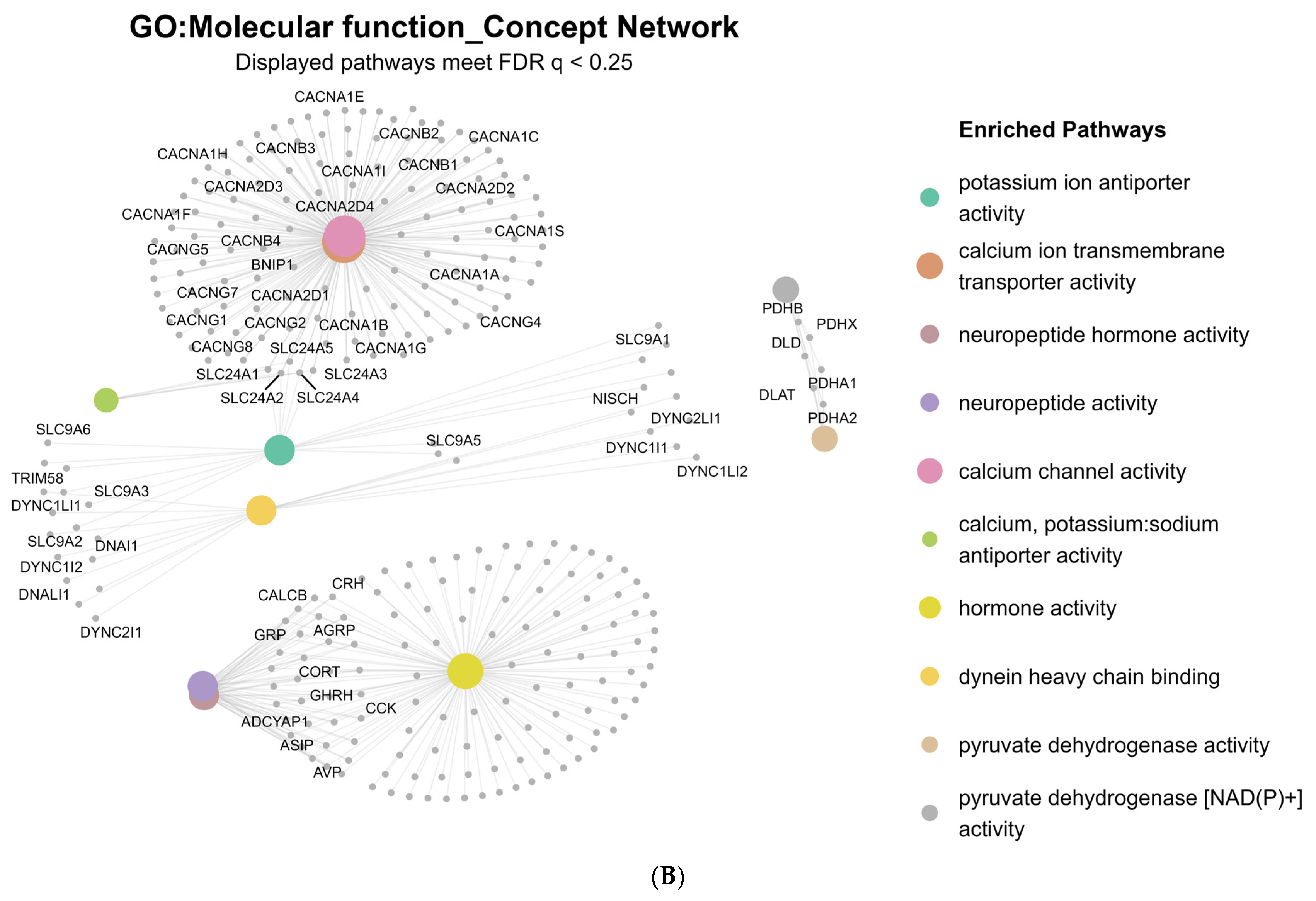 Ijms 26 12109 g001b Ijms 26 12109 g001b