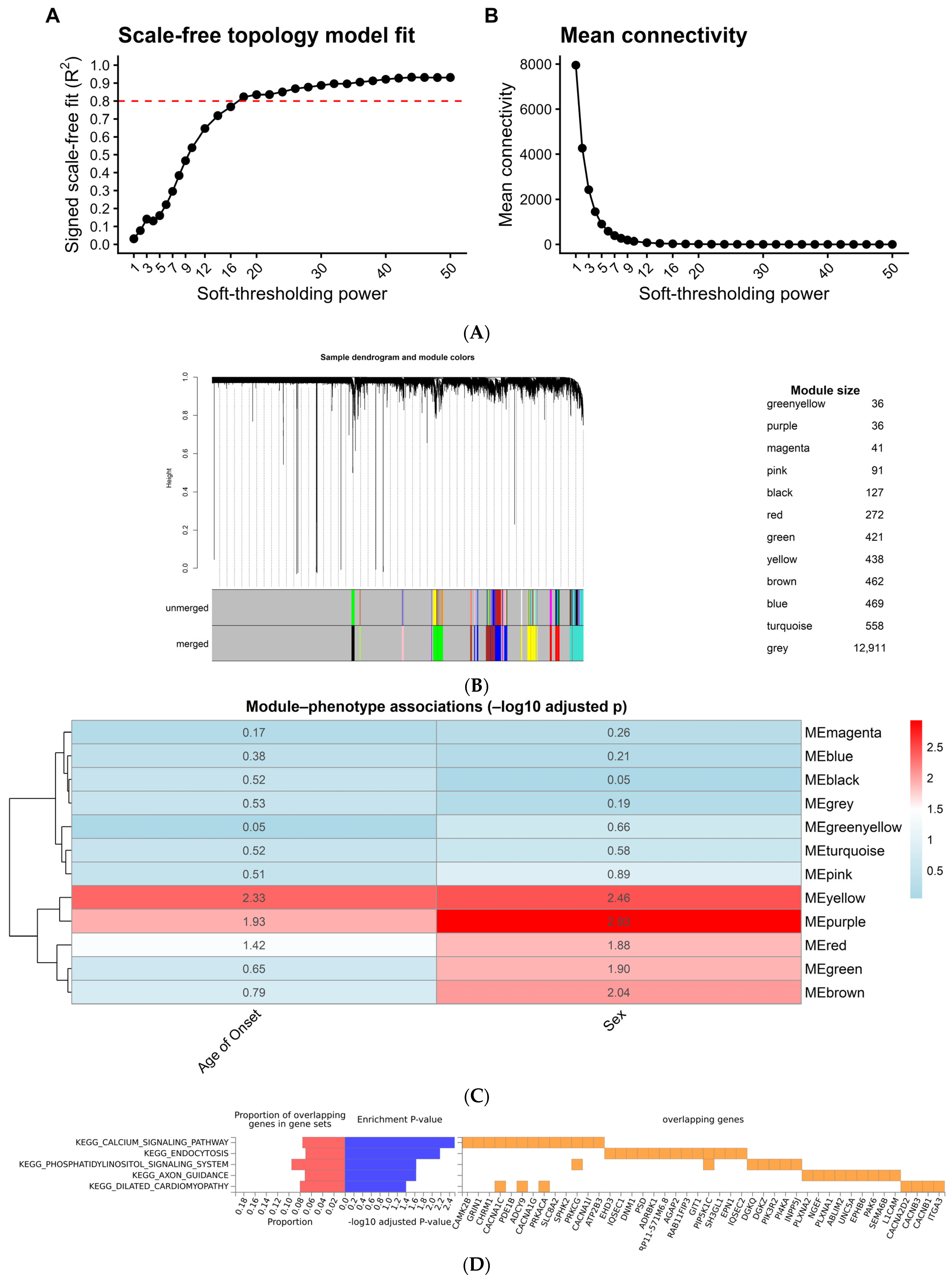 Ijms 26 12109 g003 Ijms 26 12109 g003