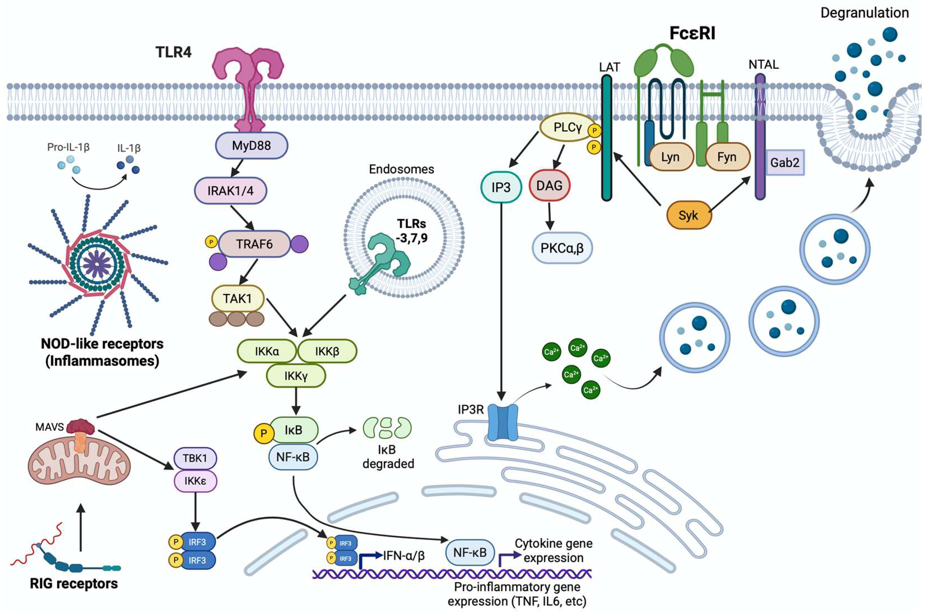 Ijms 26 12110 g001 Ijms 26 12110 g001