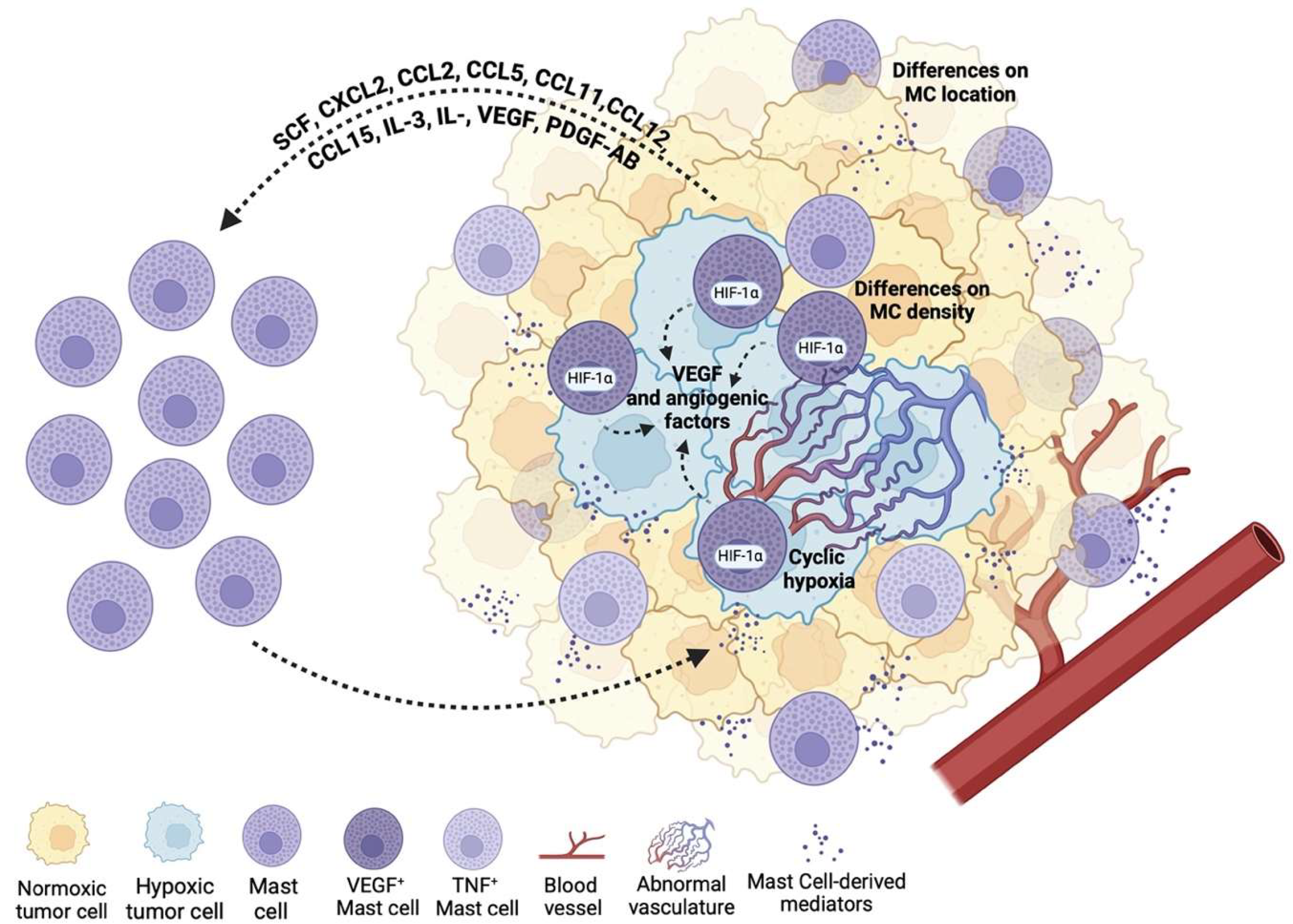 Ijms 26 12110 g002 Ijms 26 12110 g002