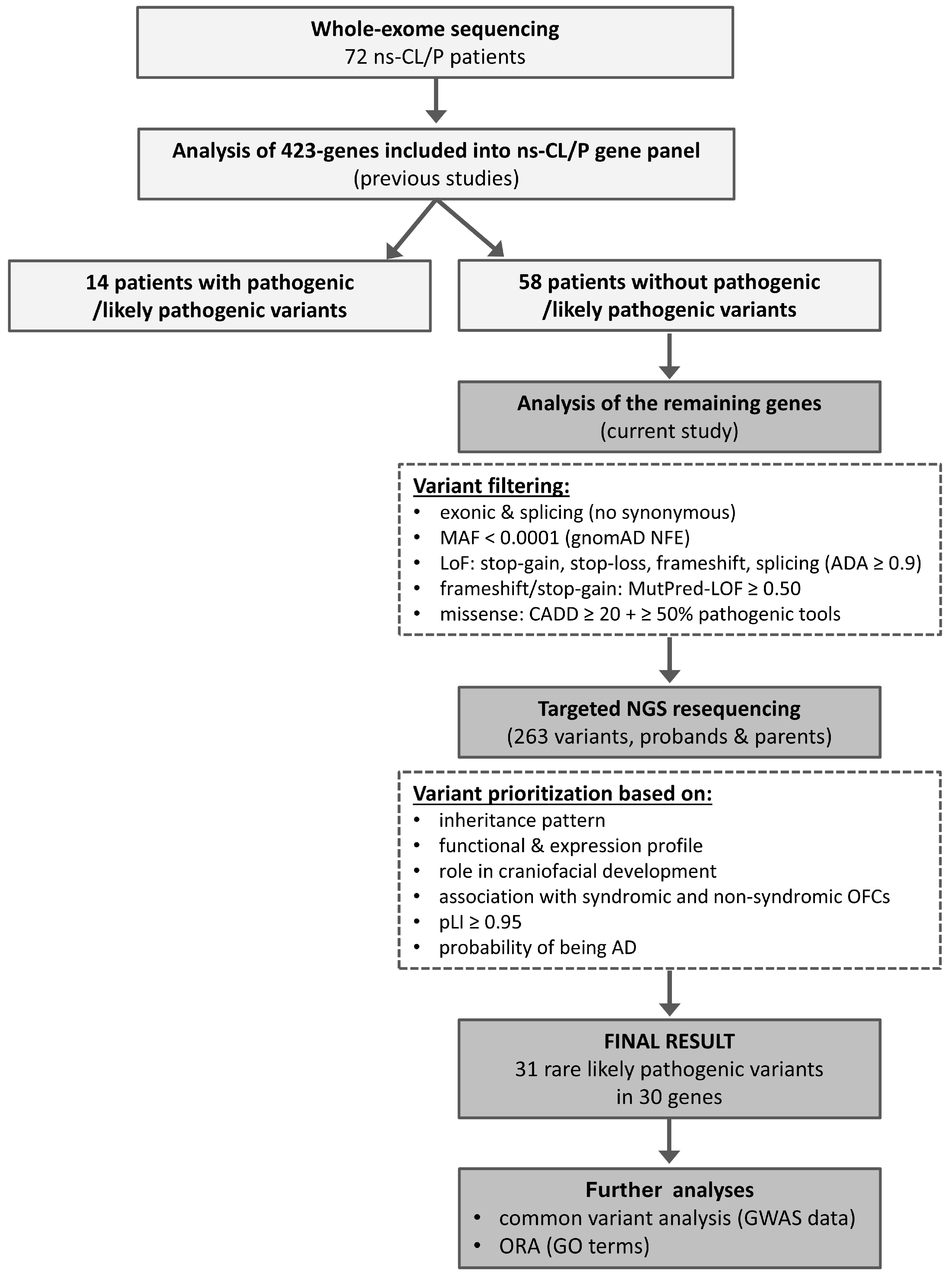 Ijms 26 12111 g001 Ijms 26 12111 g001