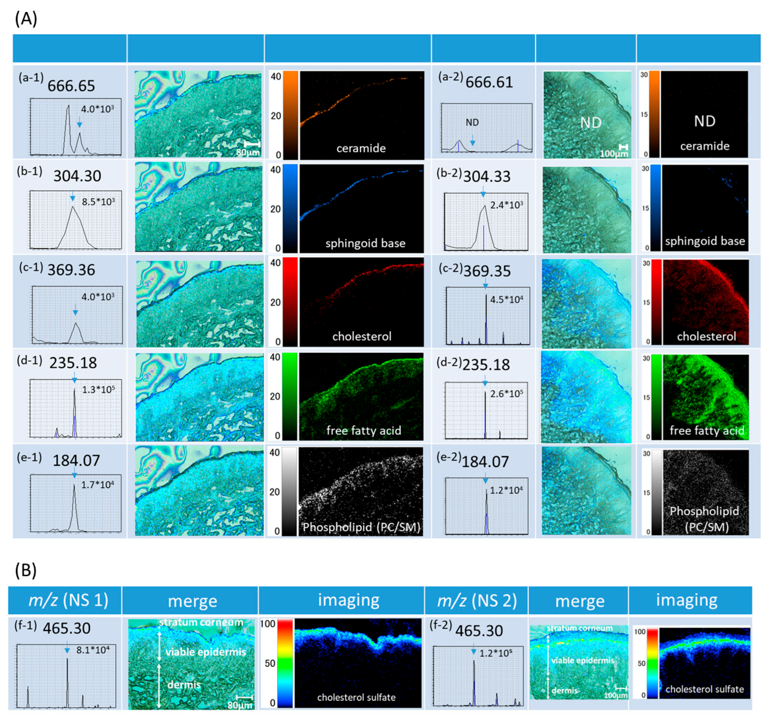 Ijms 26 12114 g002 Ijms 26 12114 g002