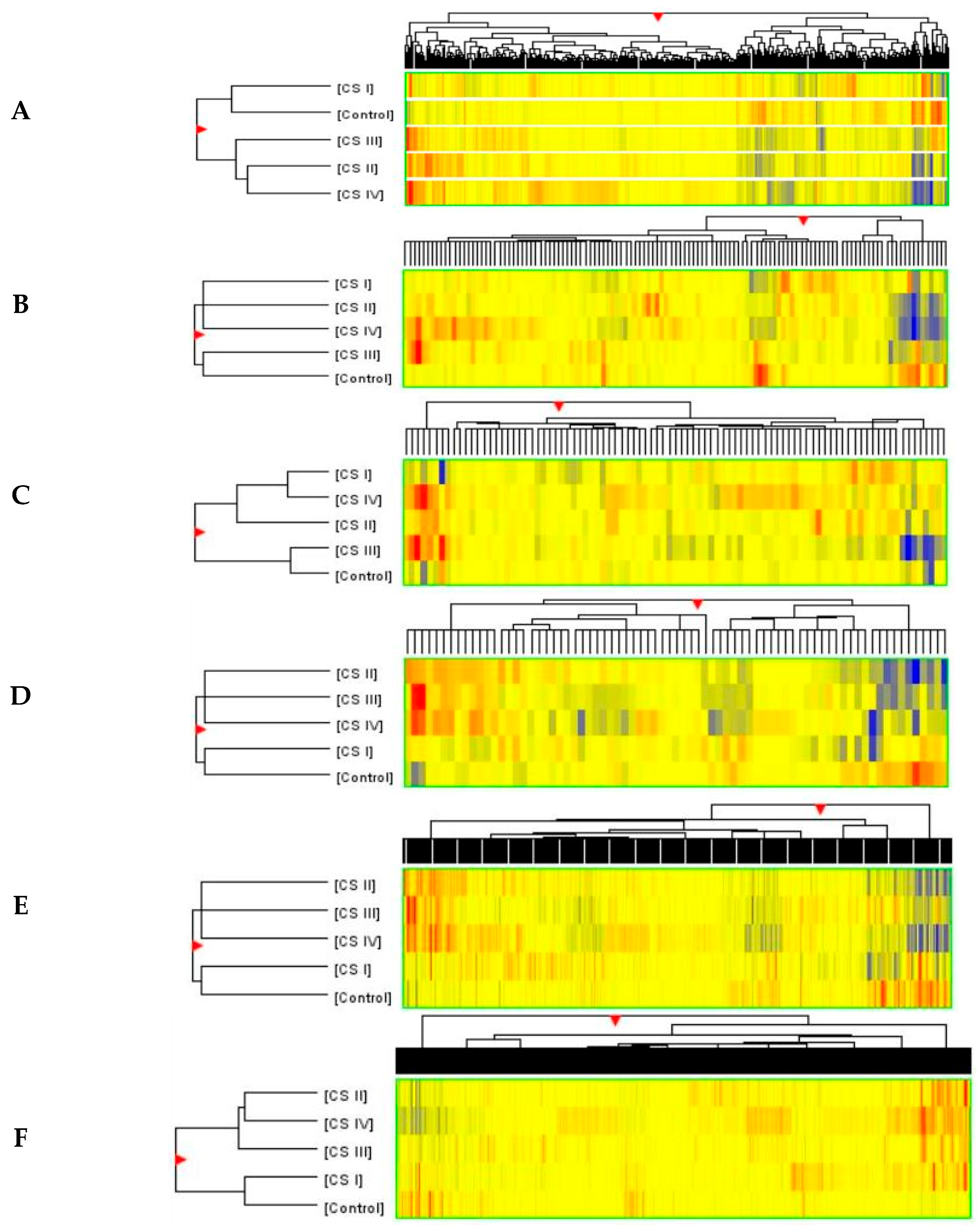 Ijms 26 12116 g004 Ijms 26 12116 g004