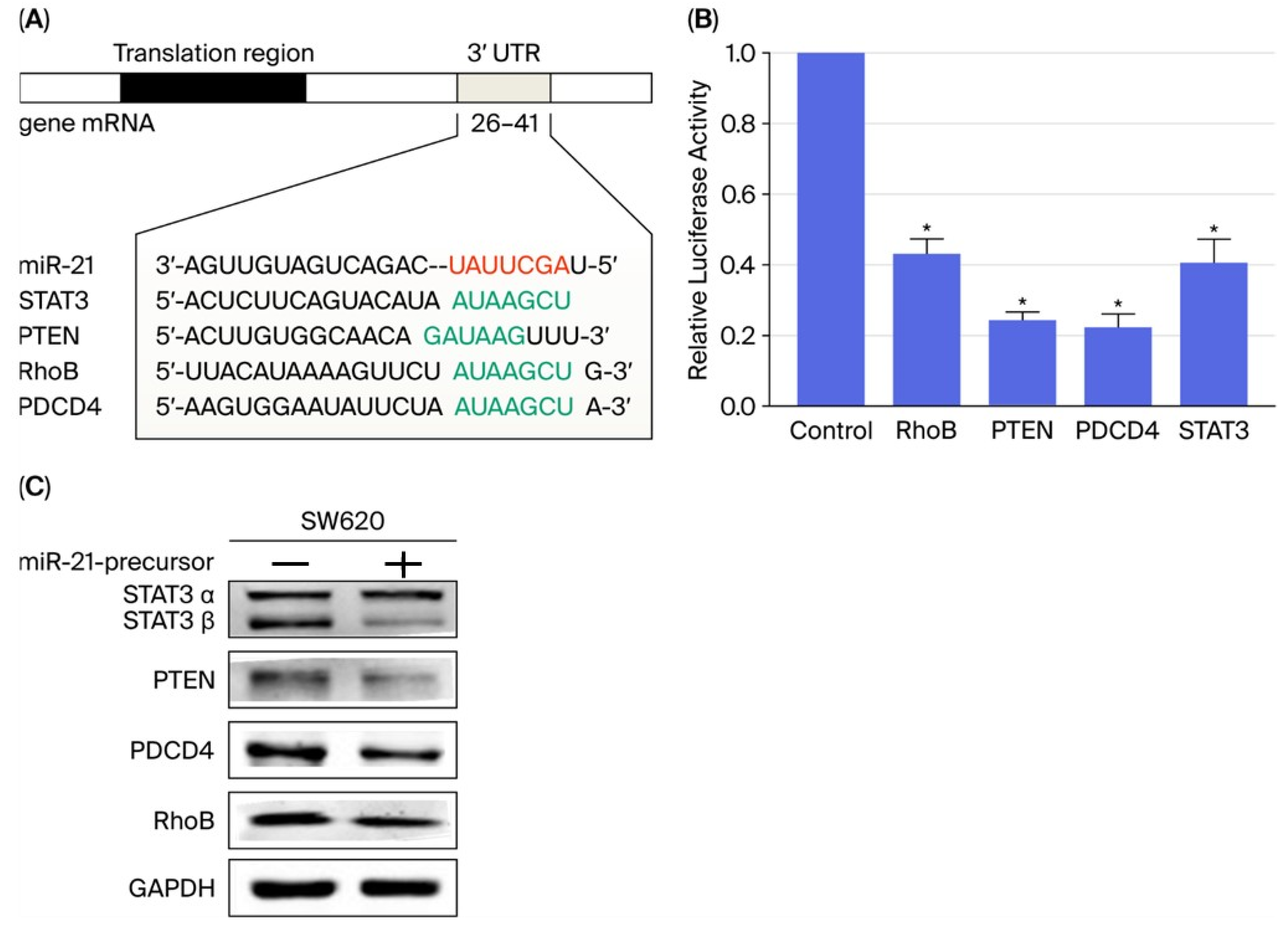 Ijms 26 12118 g003 Ijms 26 12118 g003