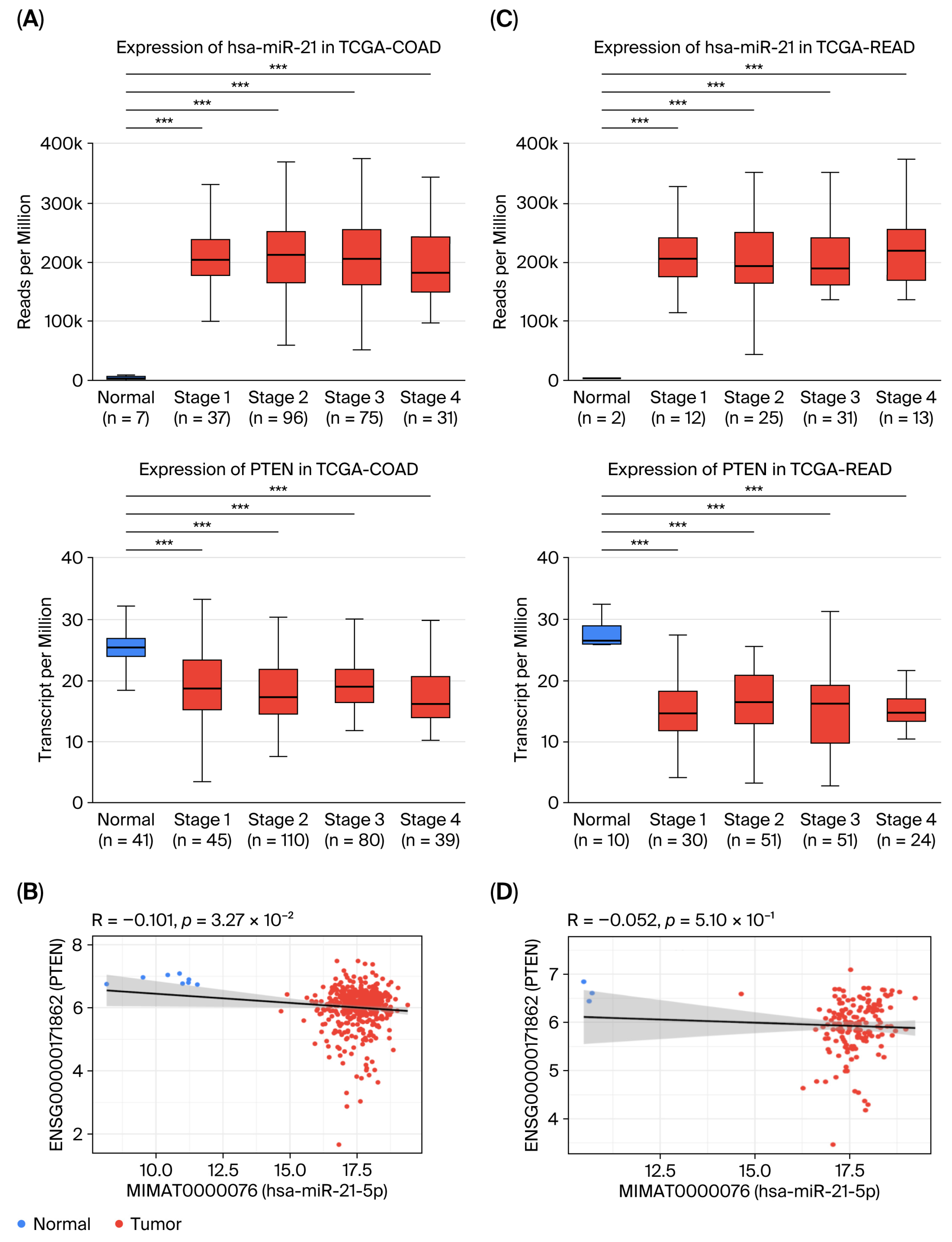 Ijms 26 12118 g004 Ijms 26 12118 g004