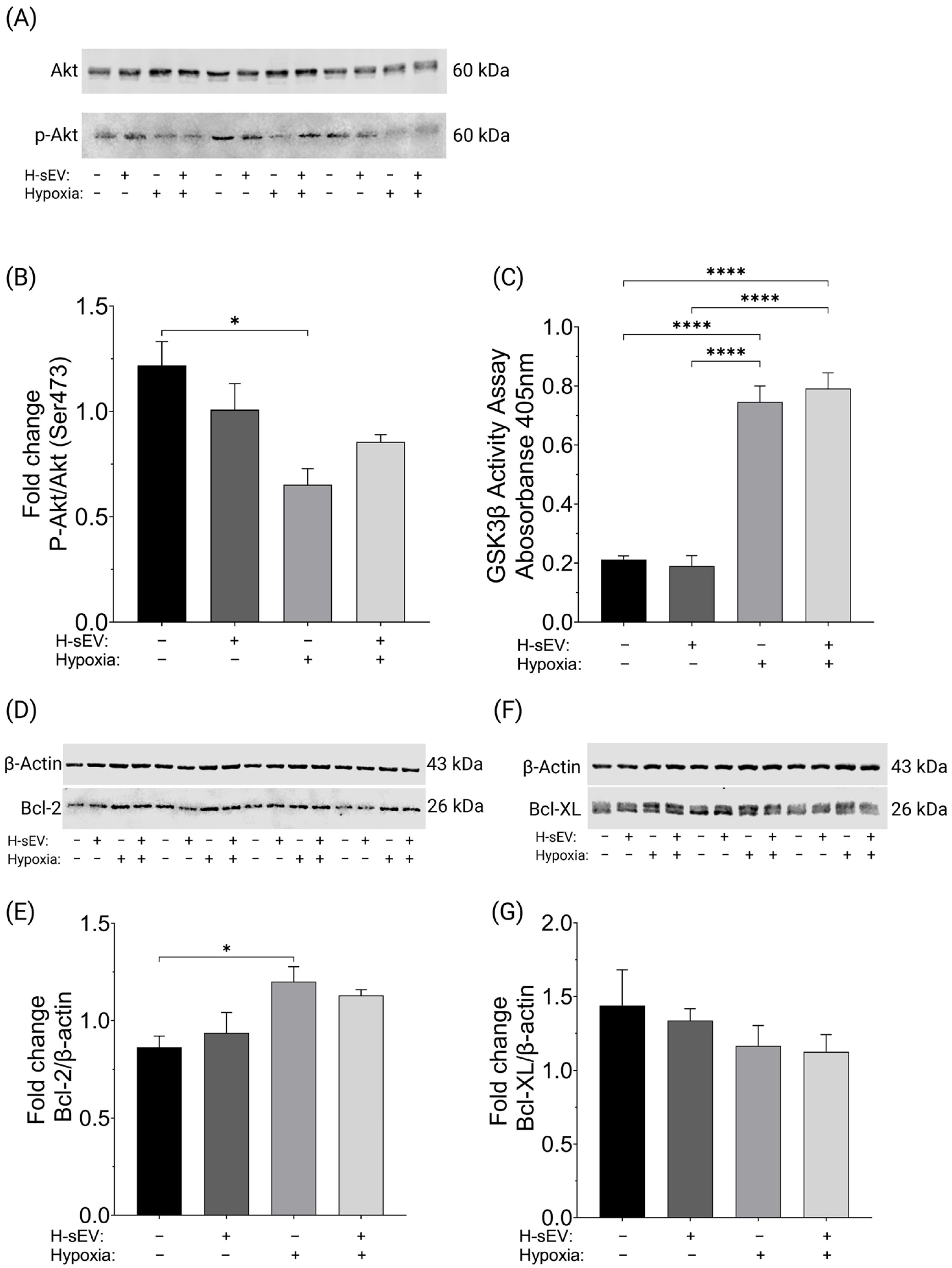 Ijms 26 12123 g004 Ijms 26 12123 g004