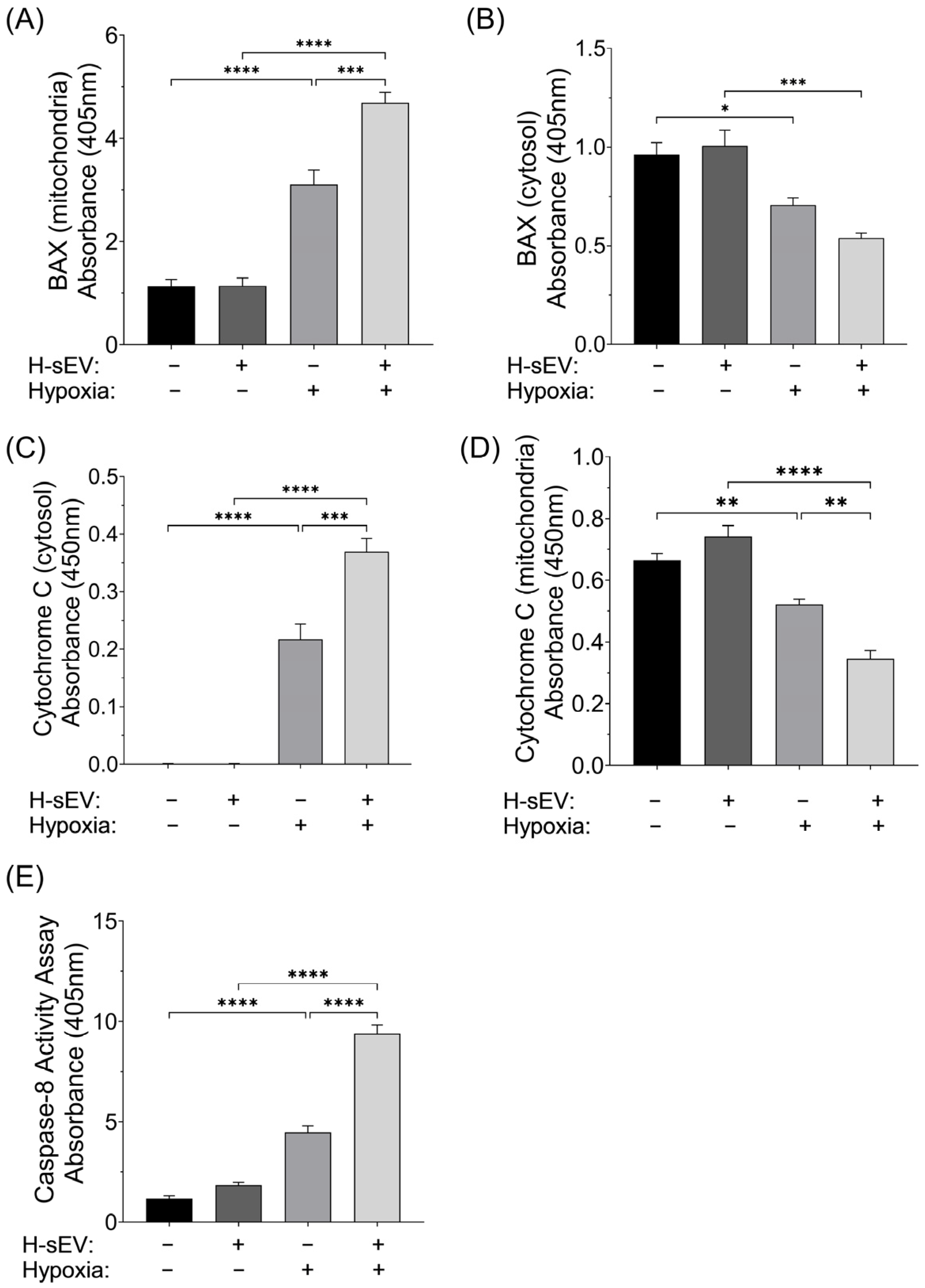 Ijms 26 12123 g005 Ijms 26 12123 g005
