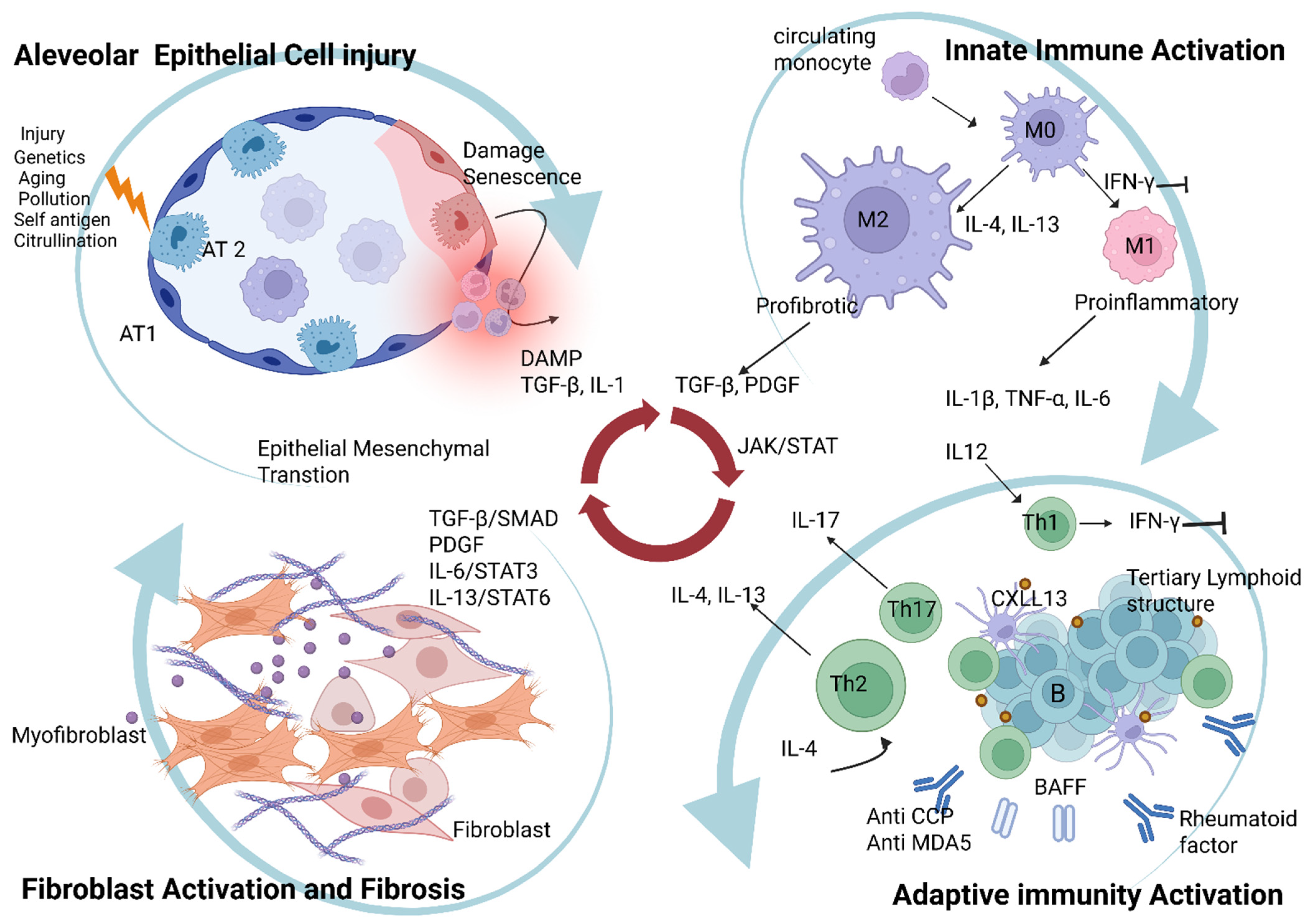 Ijms 26 12126 g001 Ijms 26 12126 g001