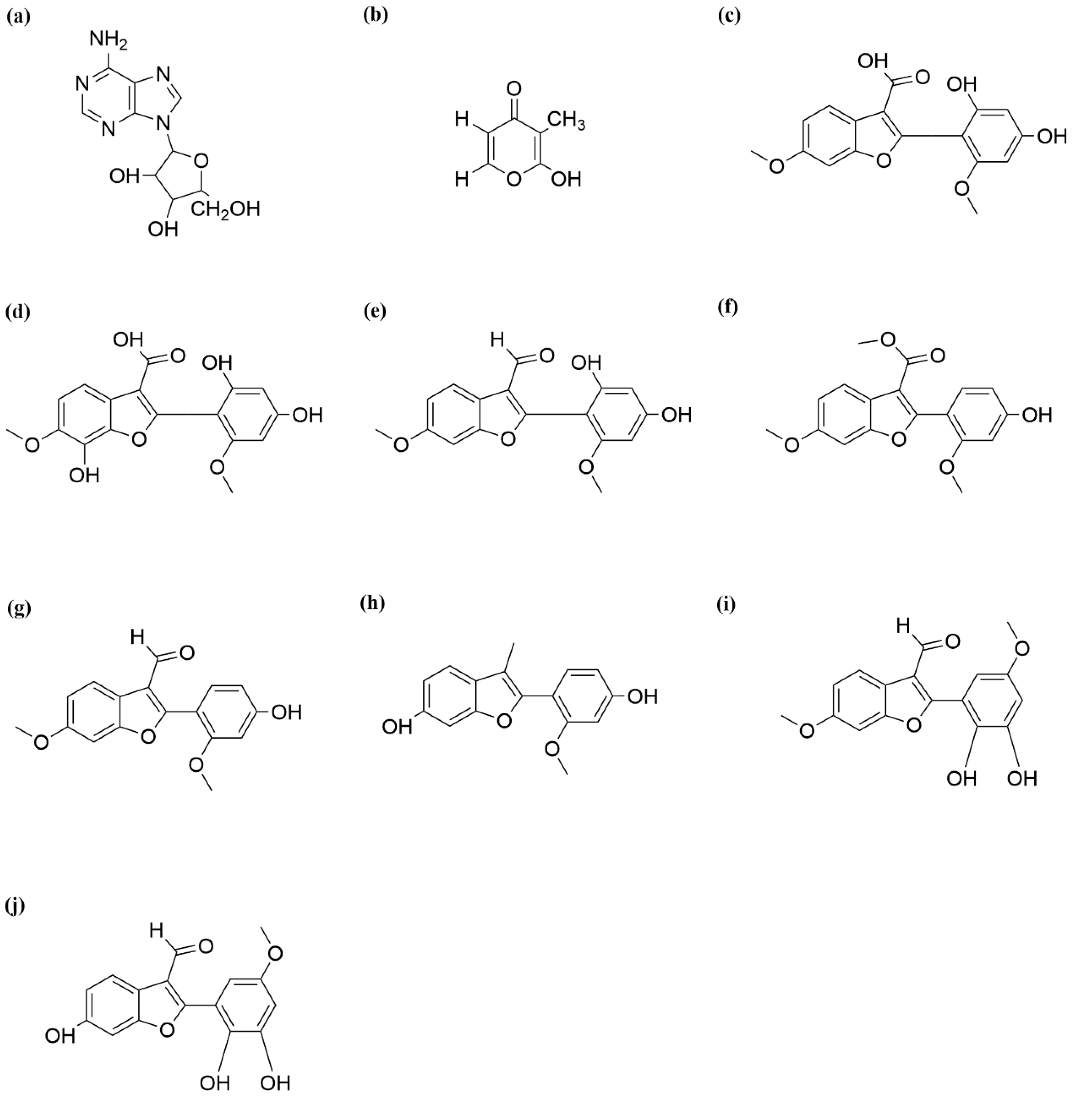 Ijms 26 12129 g002 Ijms 26 12129 g002
